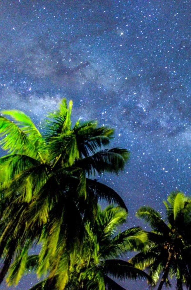 Other in Moorea Beach Lodge