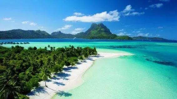 B & Bee Wild Island - Nature Song