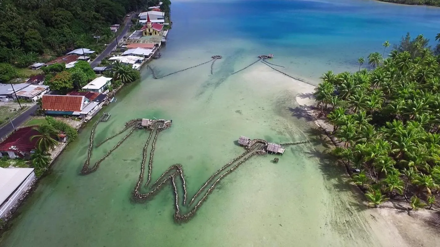 Aqua park in B & Bee Wild Island - Nature Song