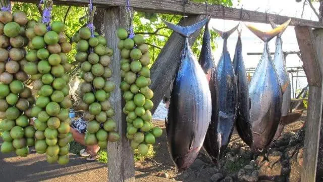 B & Bee Wild Island - Nature Song