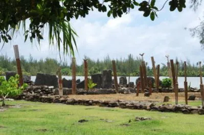 B & Bee Wild Island - Nature Song