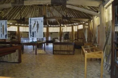 B & Bee Wild Island - Nature Song