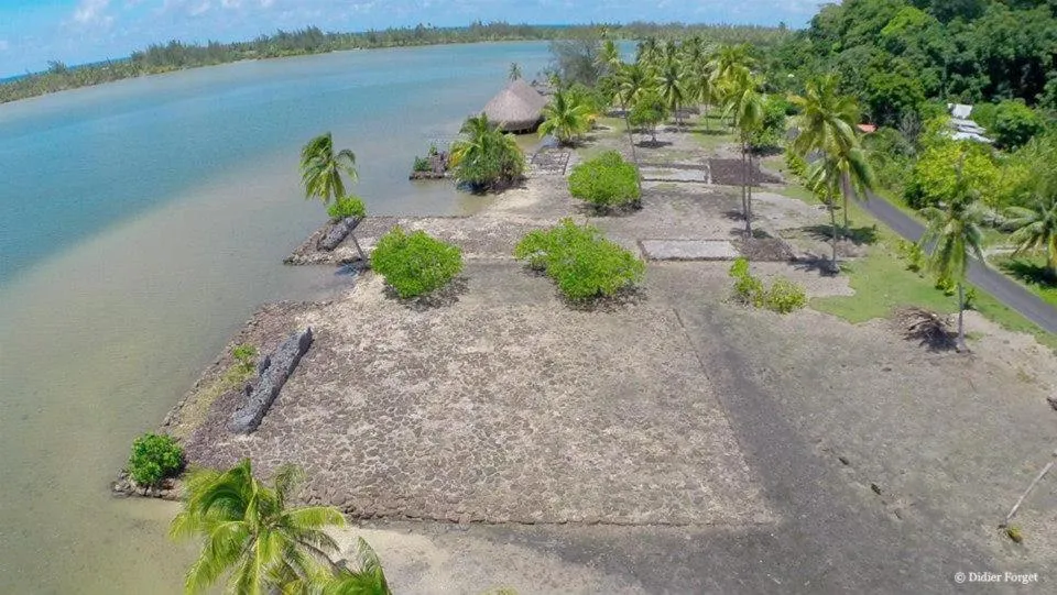 Activities in B & Bee Wild Island - Nature Song