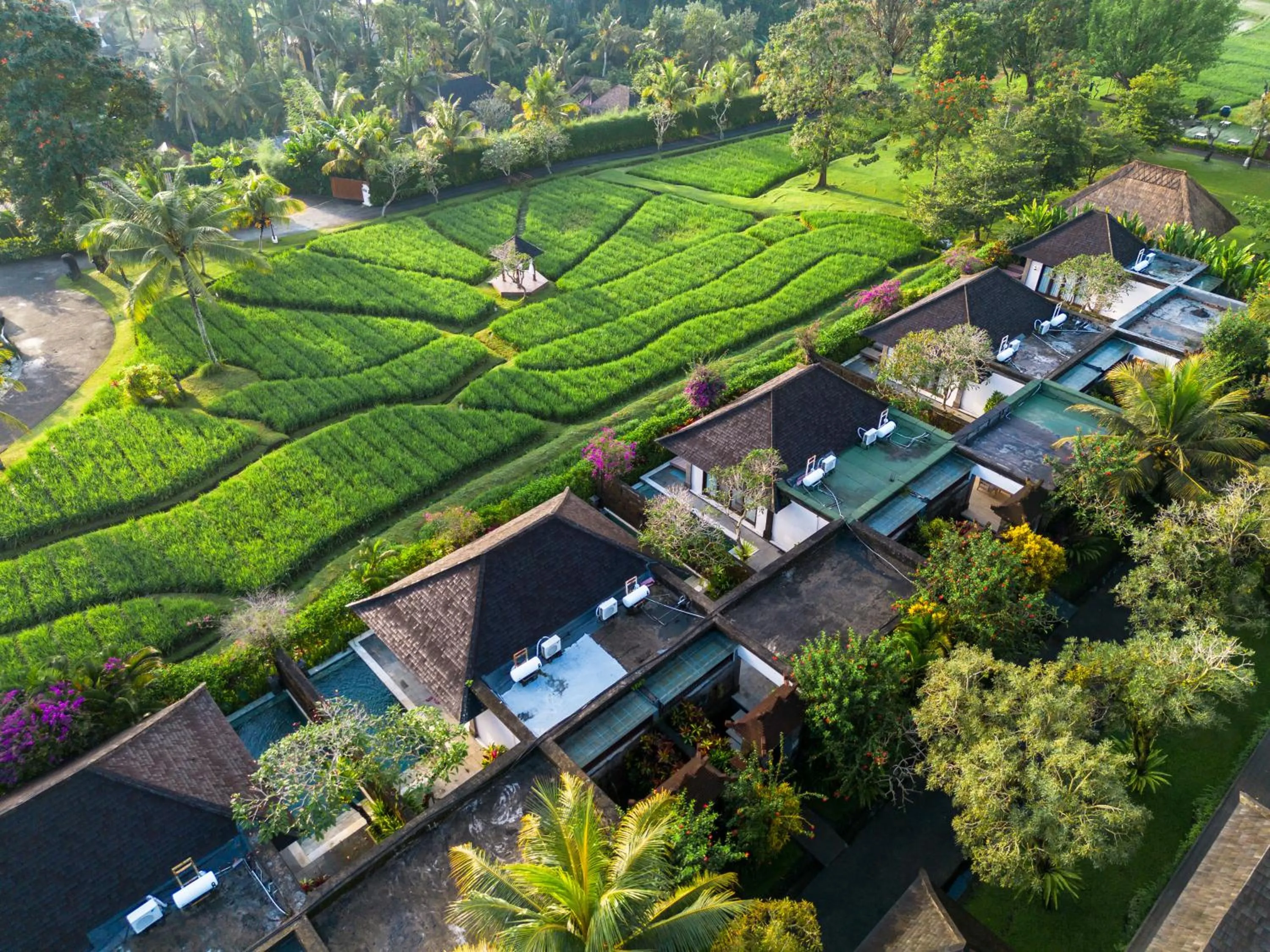 Property building in Visesa Ubud Resort