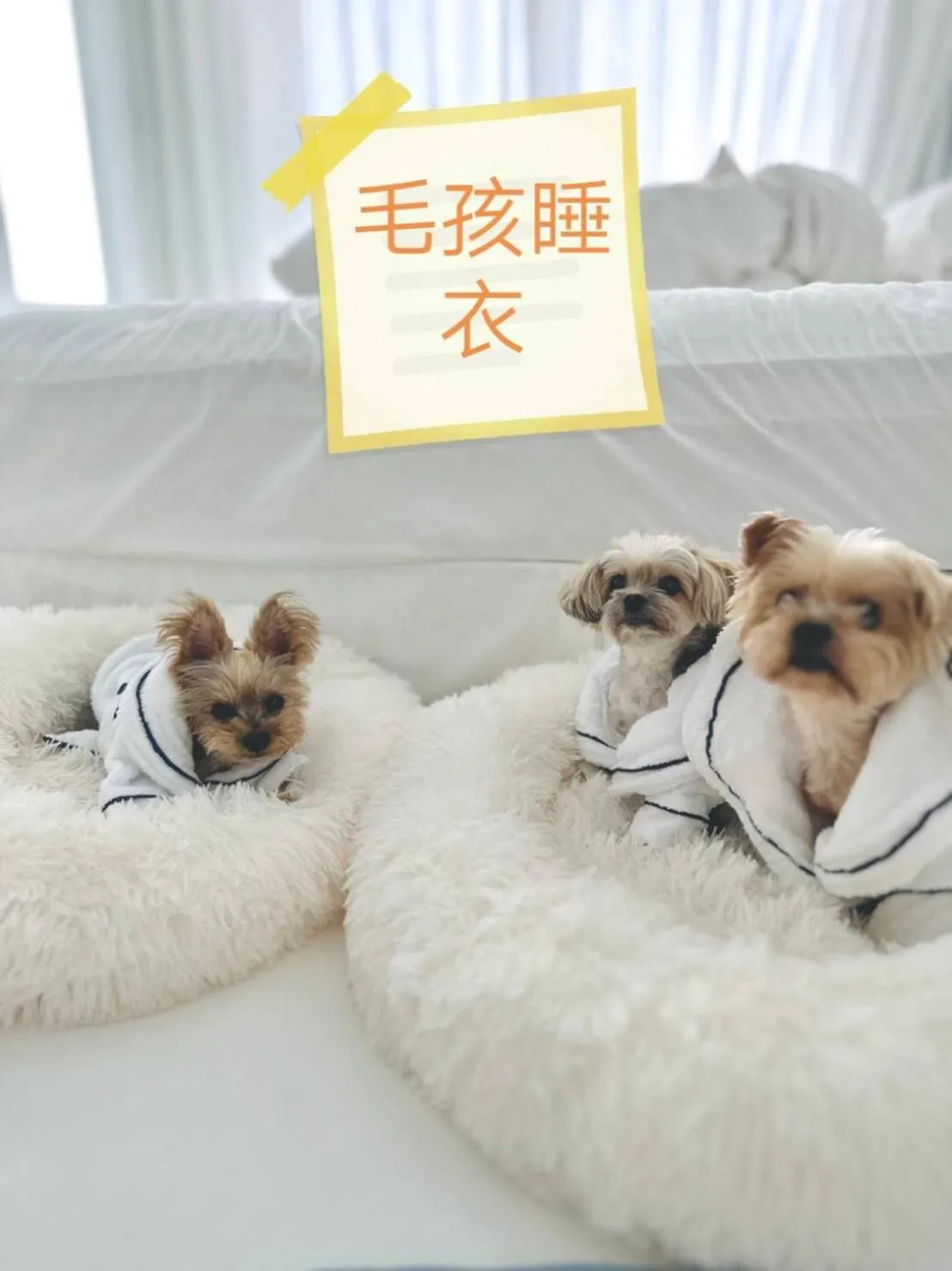 Bed in Ample Villa 小希臘民宿