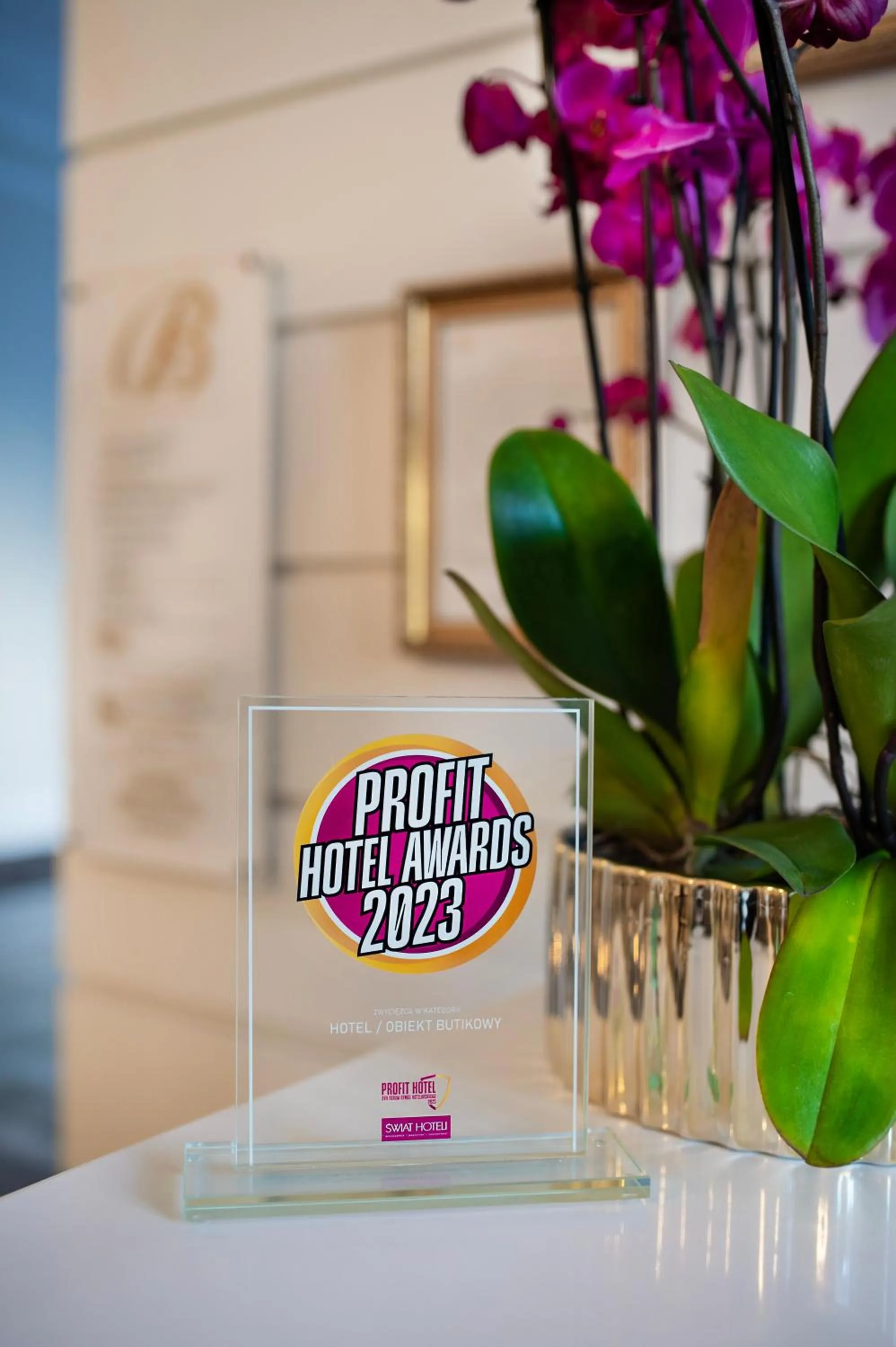 Certificate/Award in Hotel Bellotto