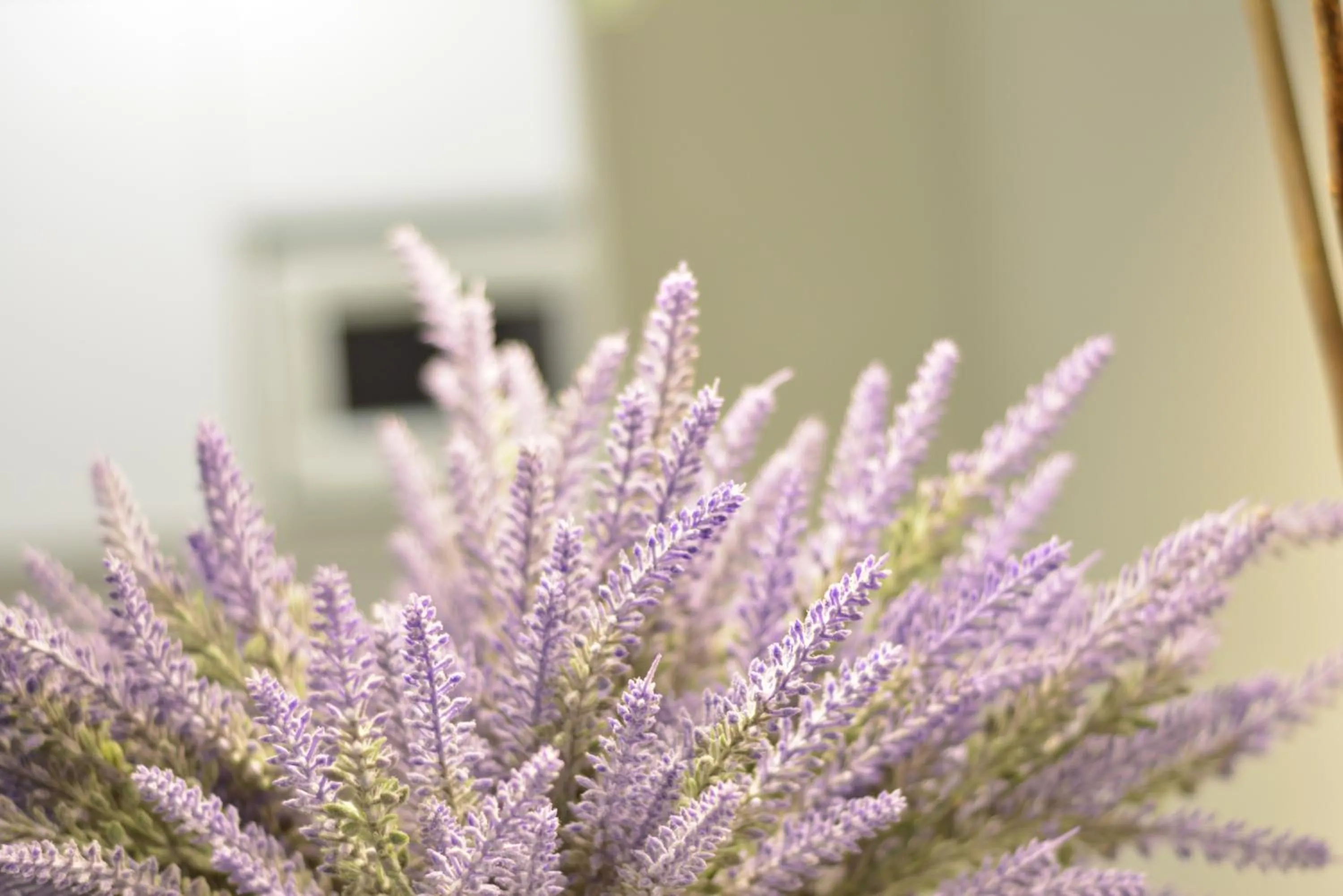 Property building in Metropole Apartments - Old City