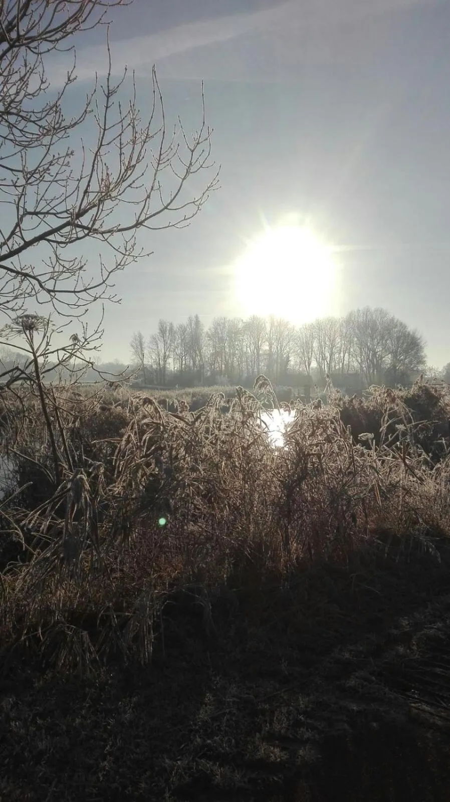 Natural landscape in Kleine Buurt aan de Weide