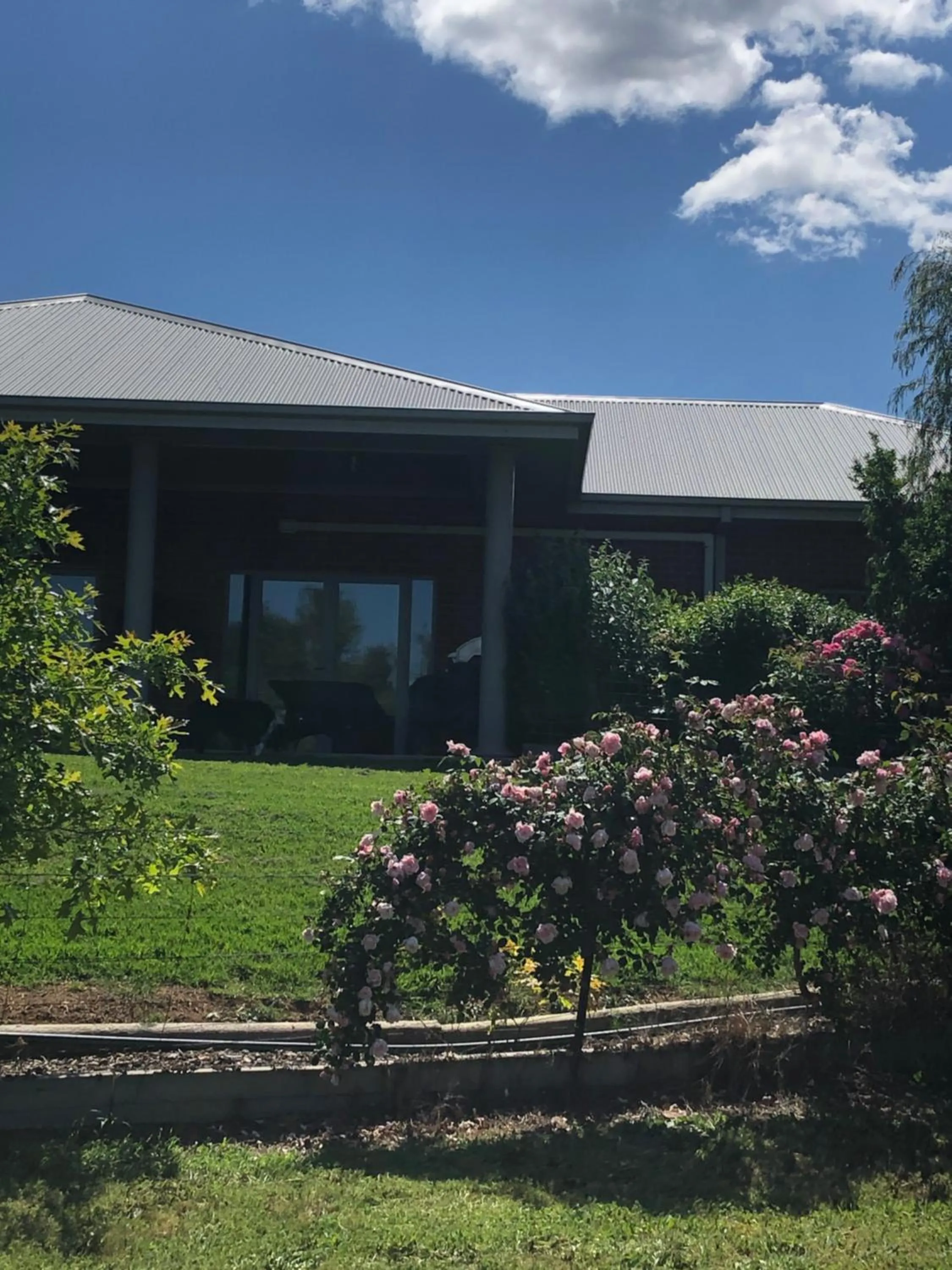 Property building in Barklysuites Apartments