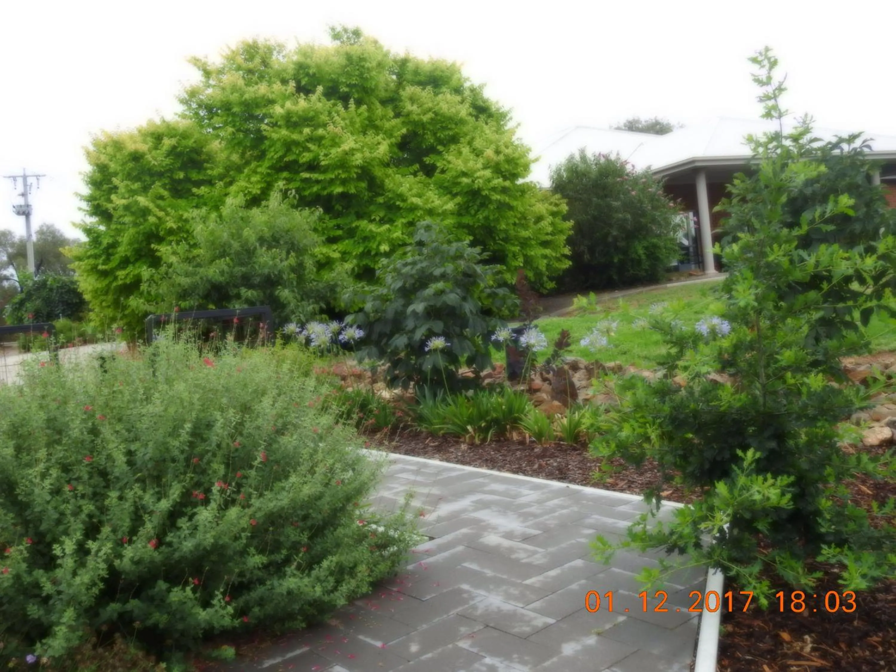 Garden in Barklysuites Apartments