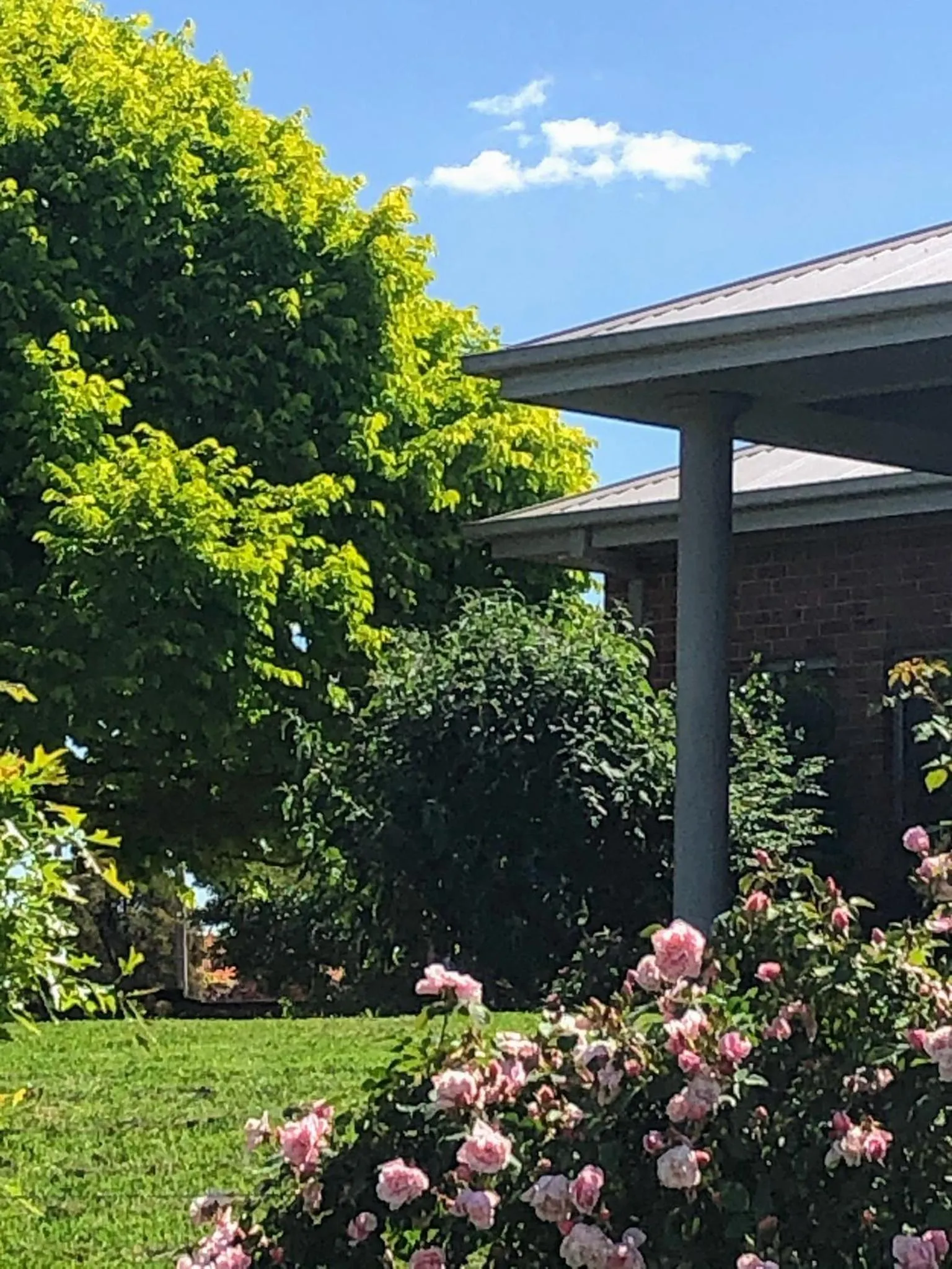 Garden in Barklysuites Apartments