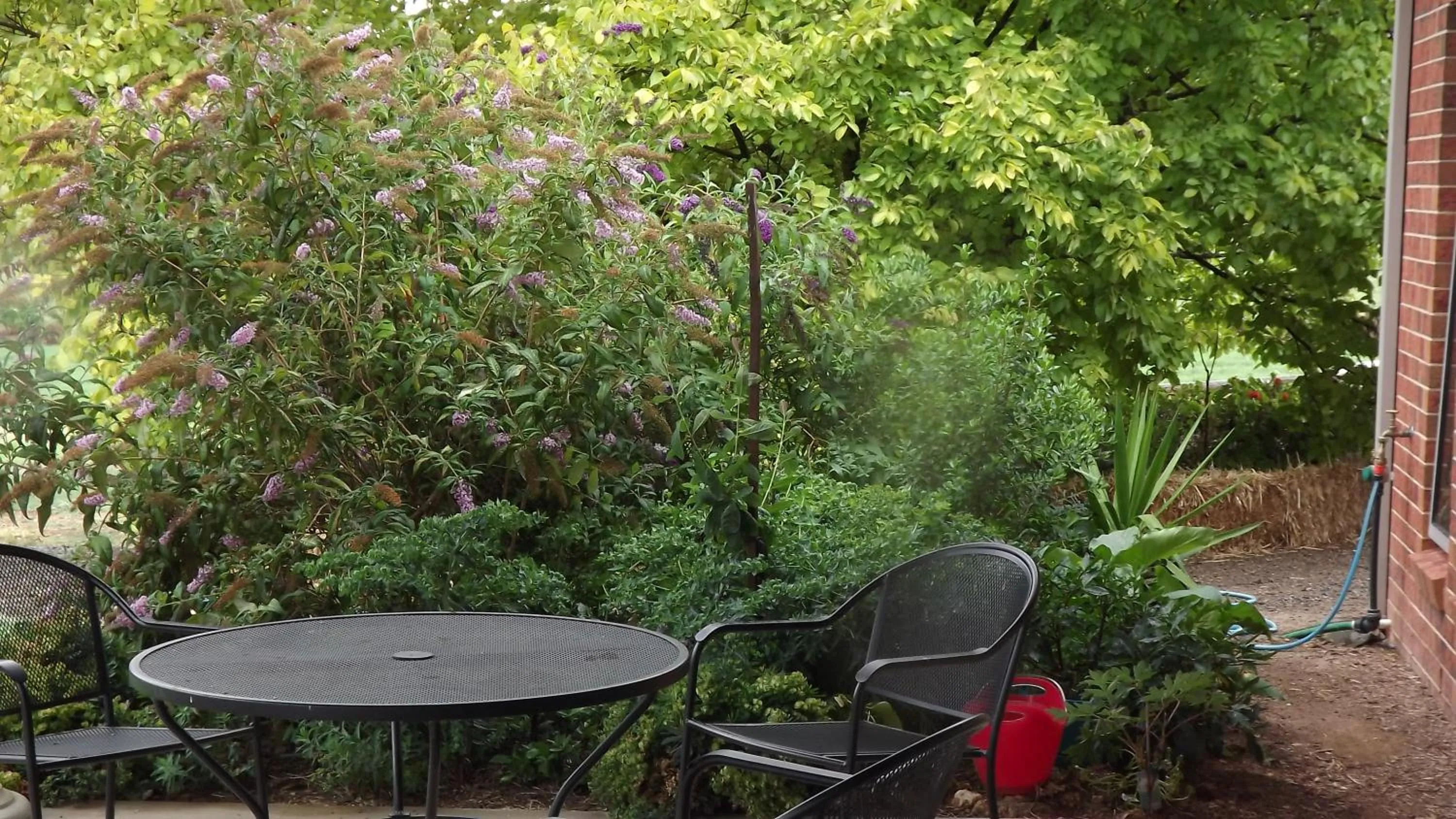Patio in Barklysuites Apartments