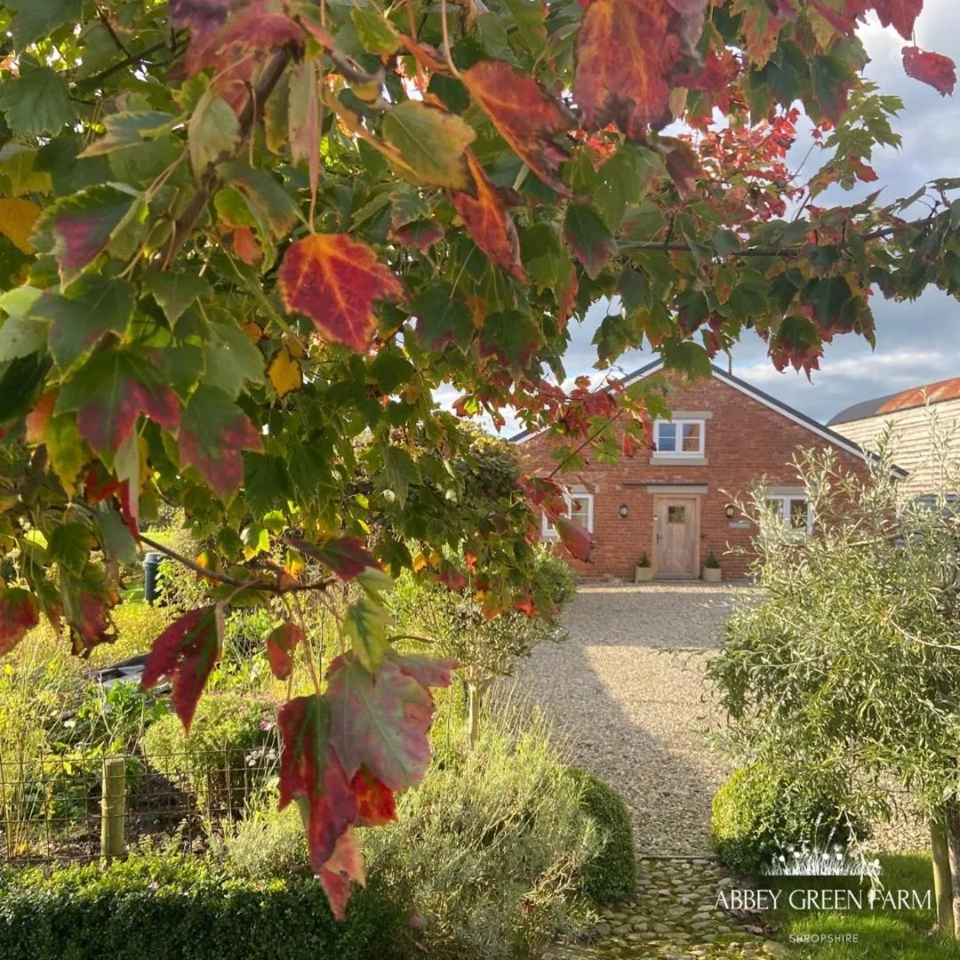 Abbey Green Farm