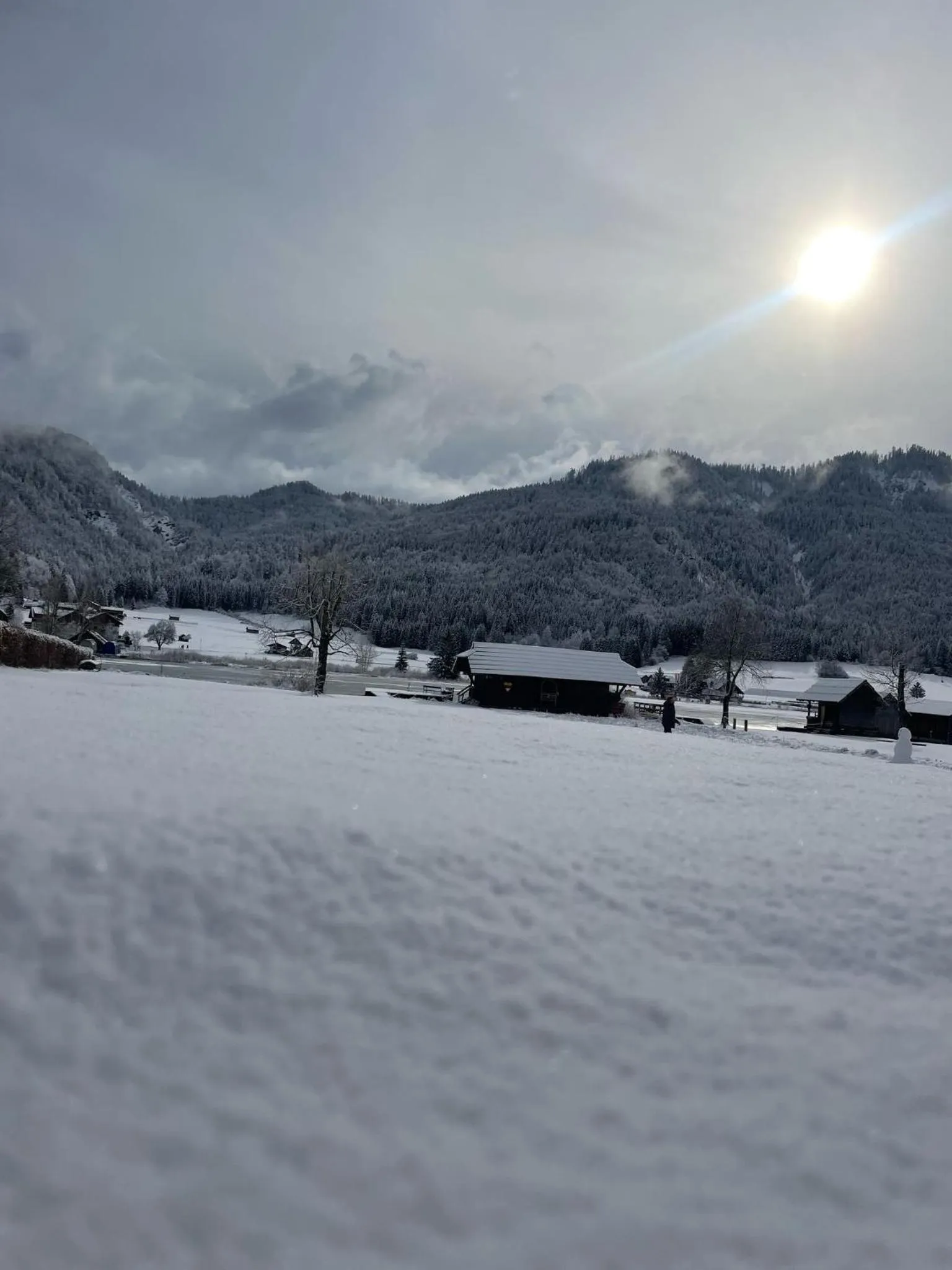 SeeHotel & SeeApartments Kärntnerhof- direkt am See!