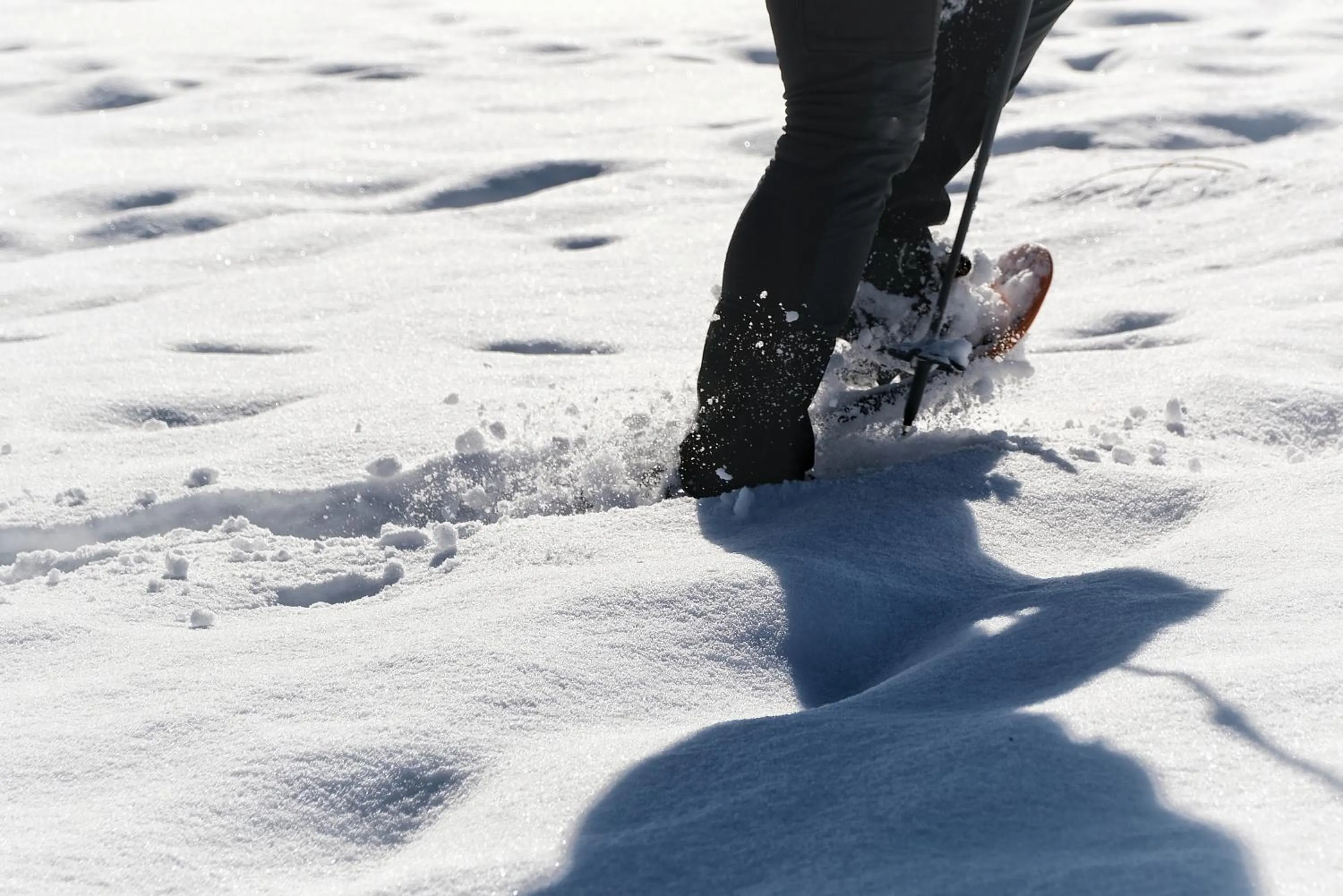 Winter in SeeHotel & SeeApartments Kärntnerhof- direkt am See!