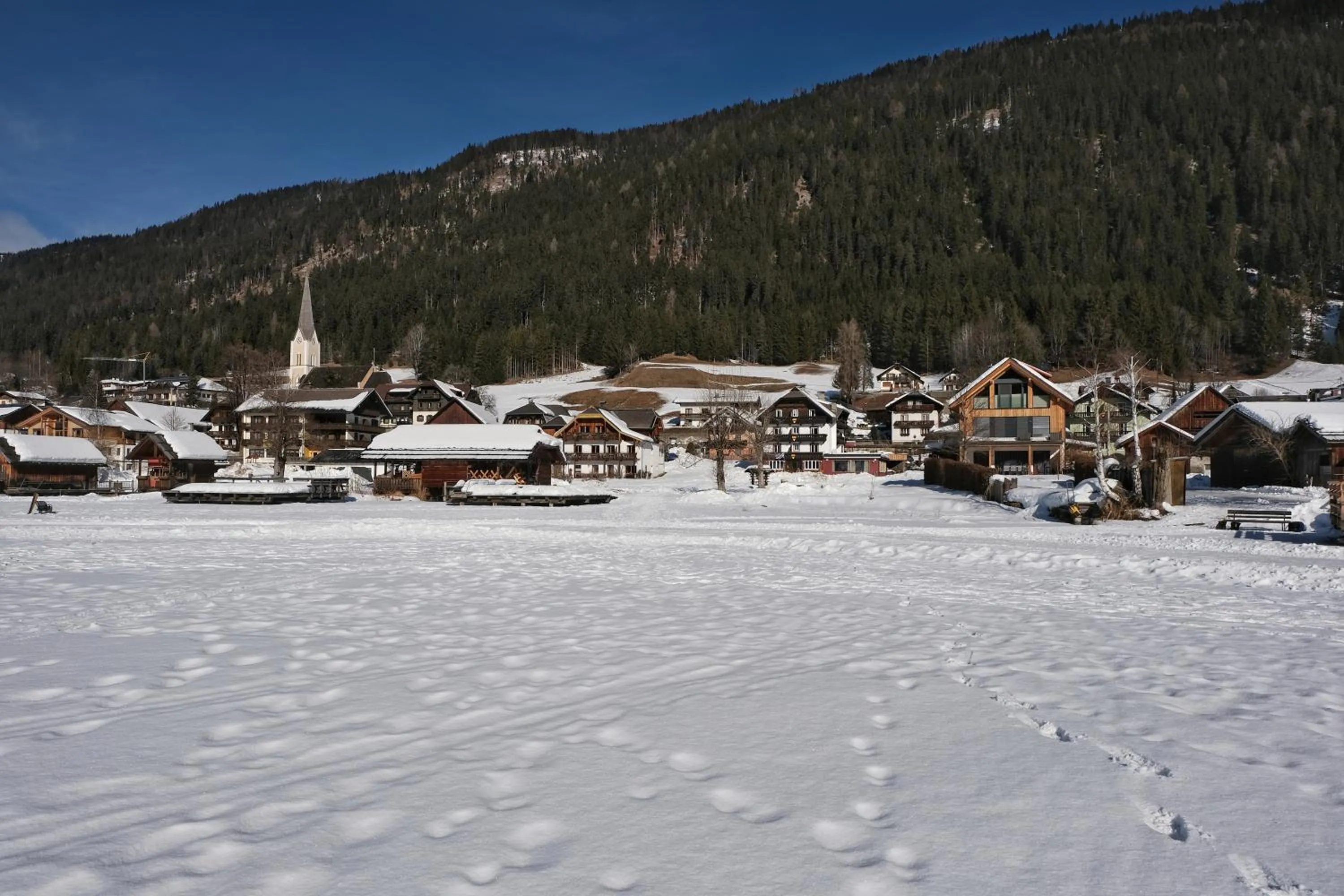Natural landscape in SeeHotel & SeeApartments Kärntnerhof- direkt am See!