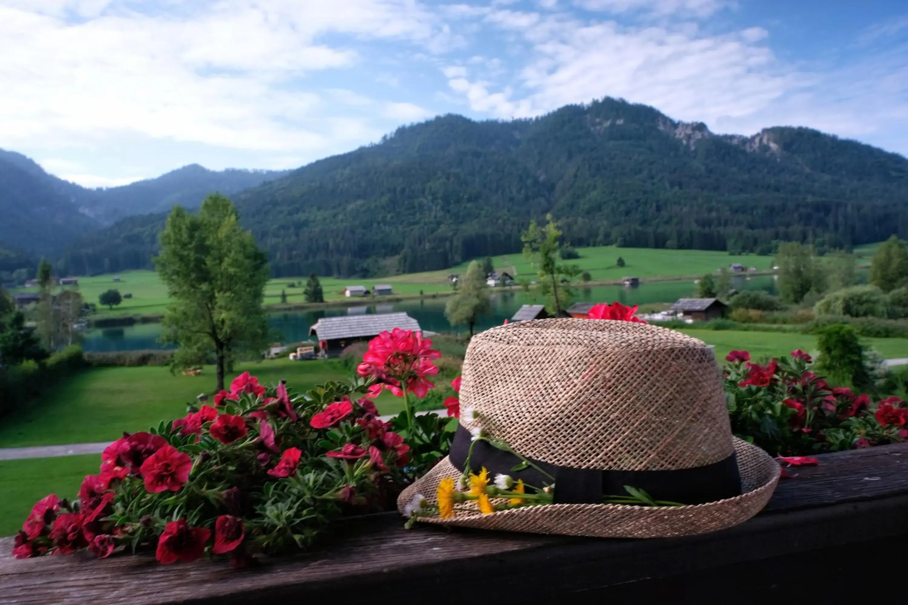 Double Room with Mountain View - single occupancy in SeeHotel & SeeApartments Kärntnerhof- direkt am See! Double Room with Mountain View - single occupancy in SeeHotel & SeeApartments Kärntnerhof- direkt am See!