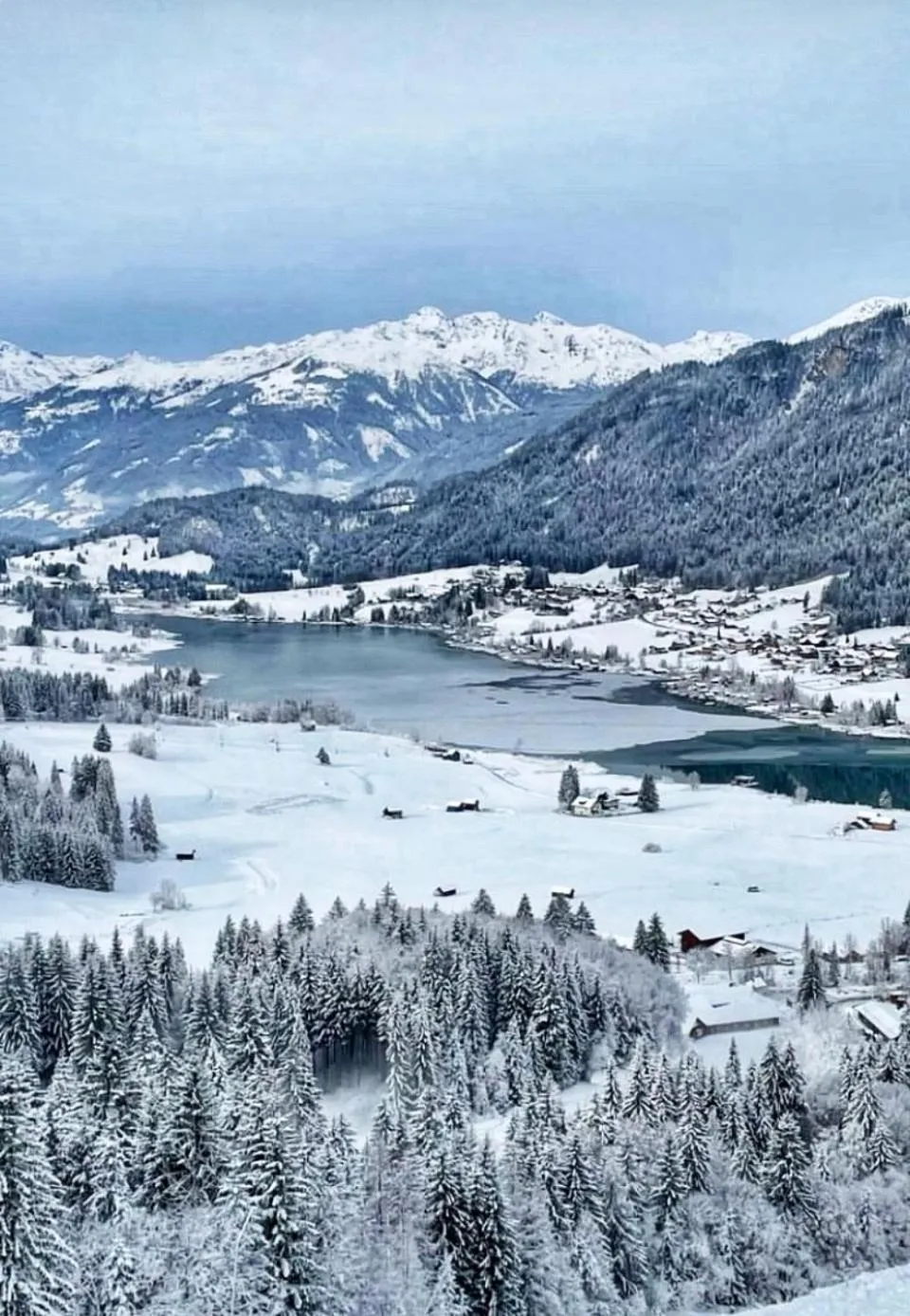 SeeHotel & SeeApartments Kärntnerhof- direkt am See!
