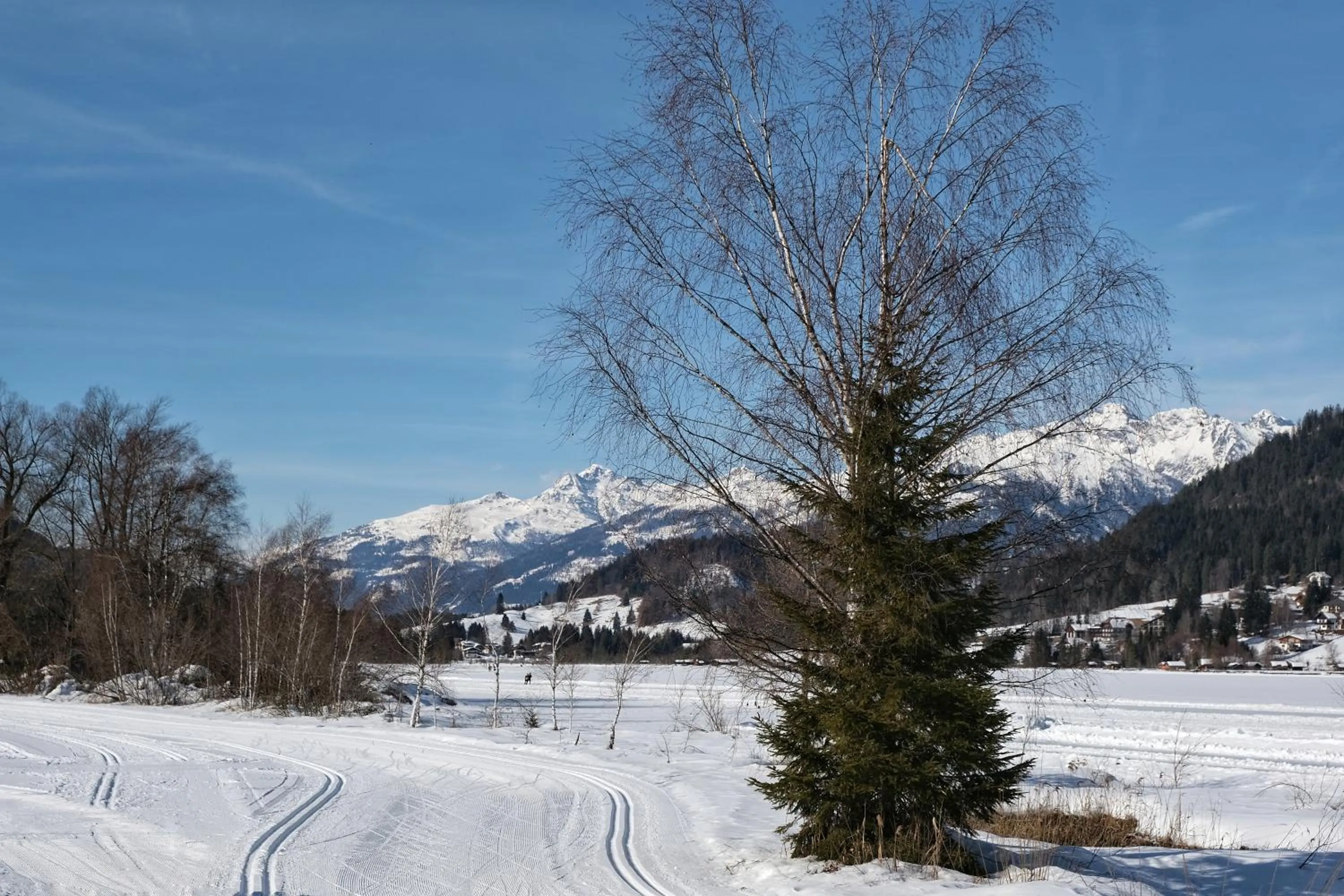 Natural landscape in SeeHotel & SeeApartments Kärntnerhof- direkt am See!