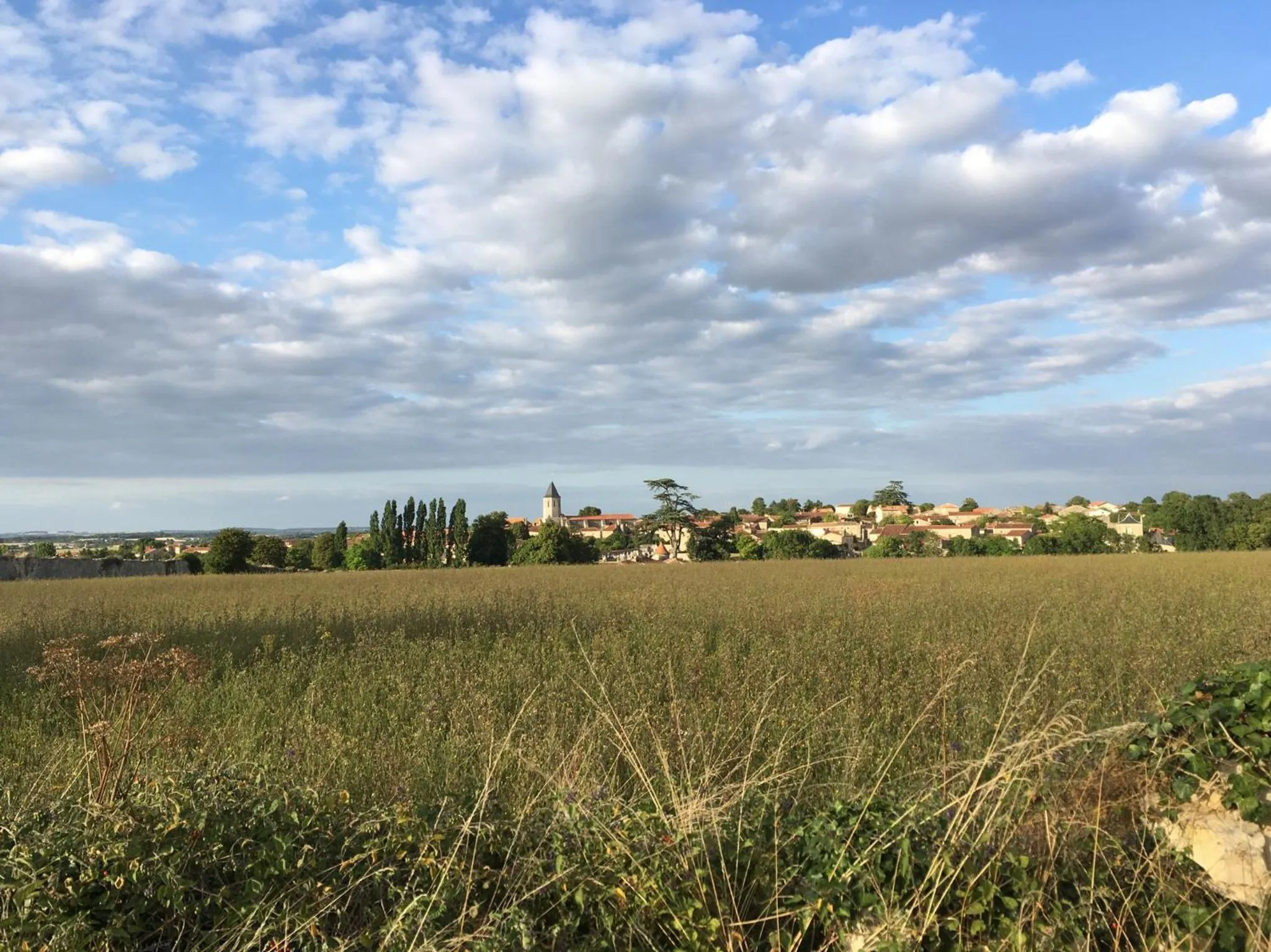 Le Grenier 1 Rue Verte Tusson 16140 France