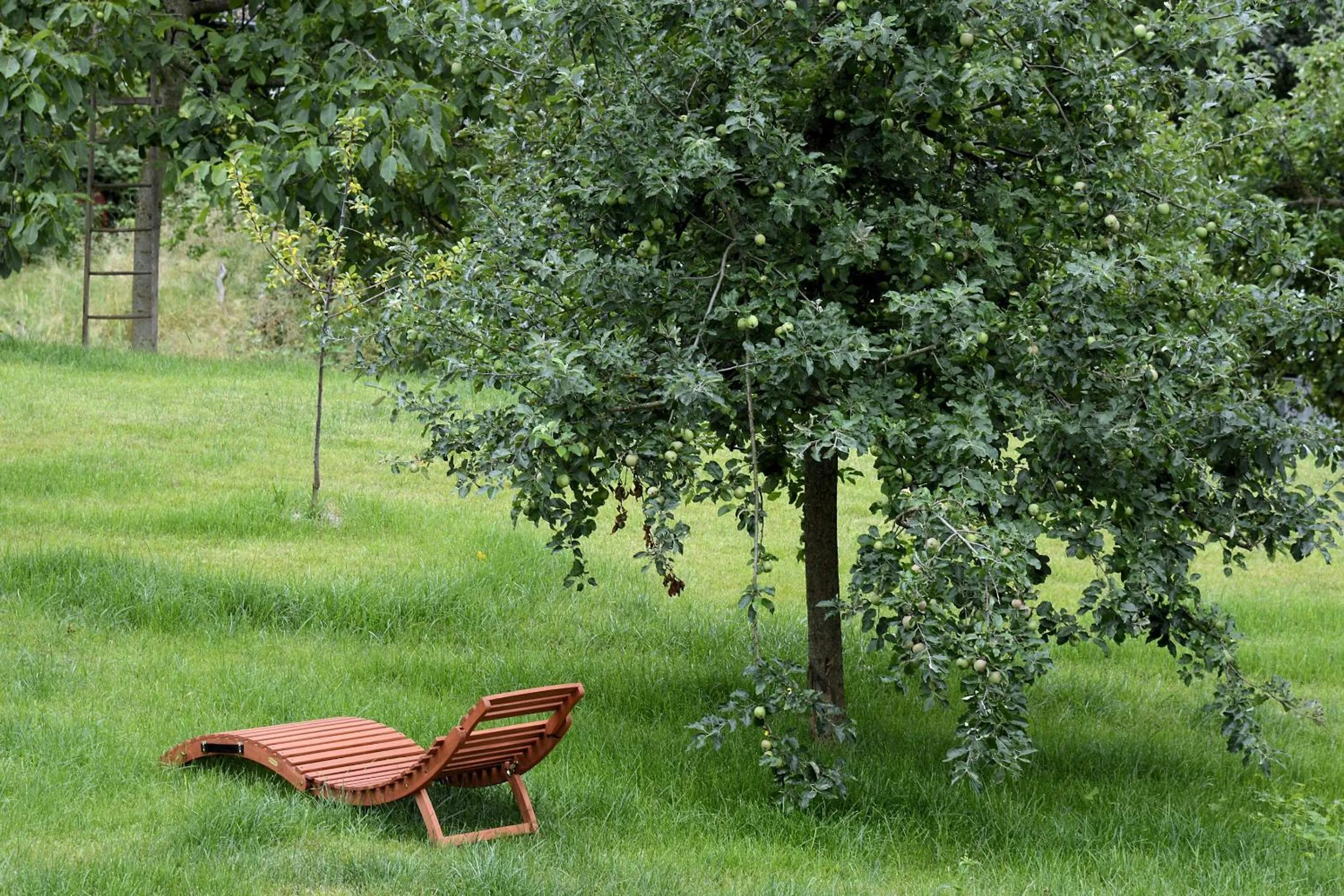 Property building in Am Paradies