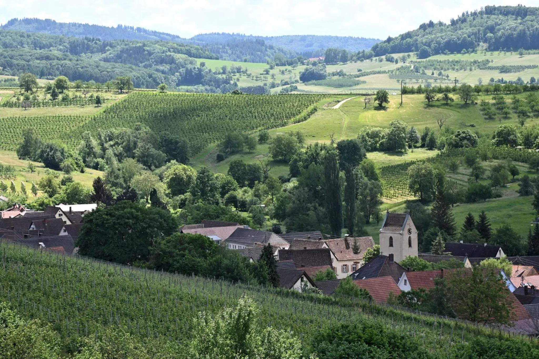 Natural landscape in Am Paradies