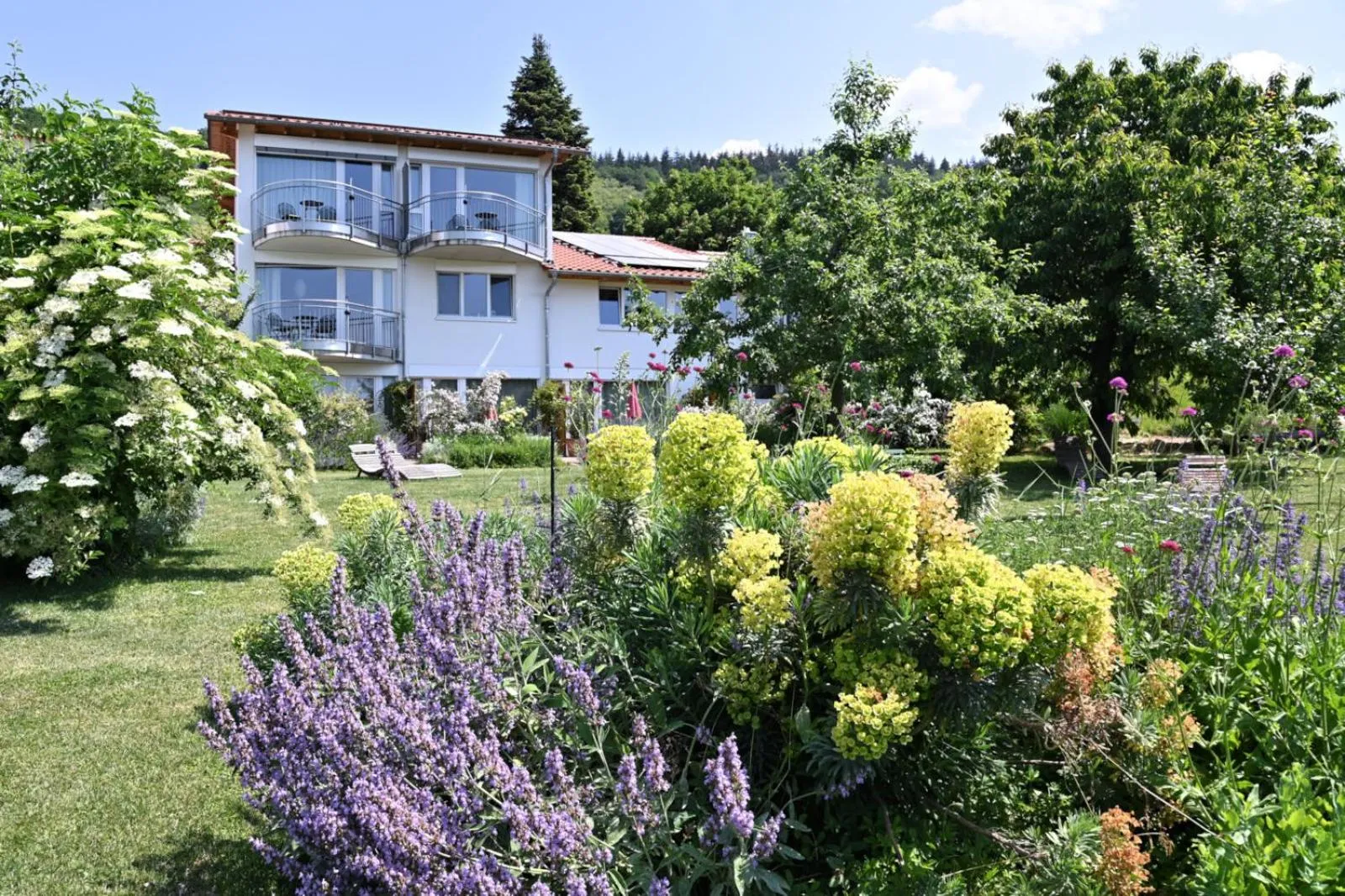 Property building in Am Paradies