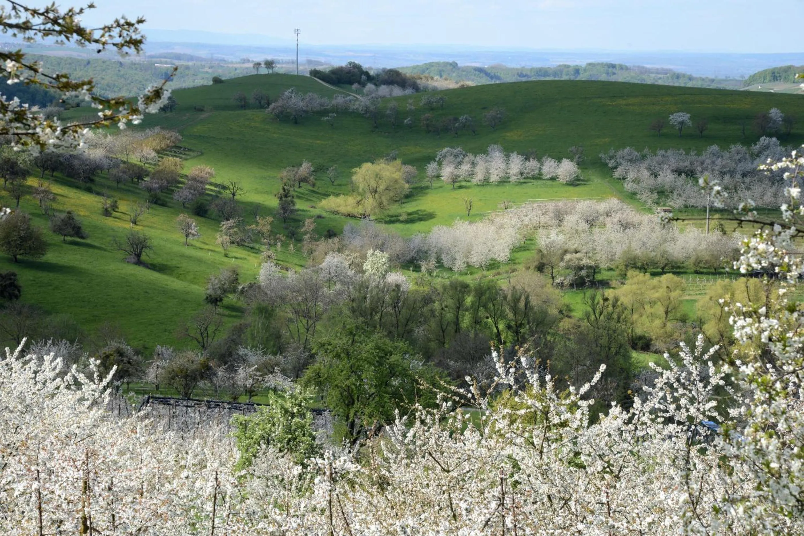 Natural landscape in Am Paradies