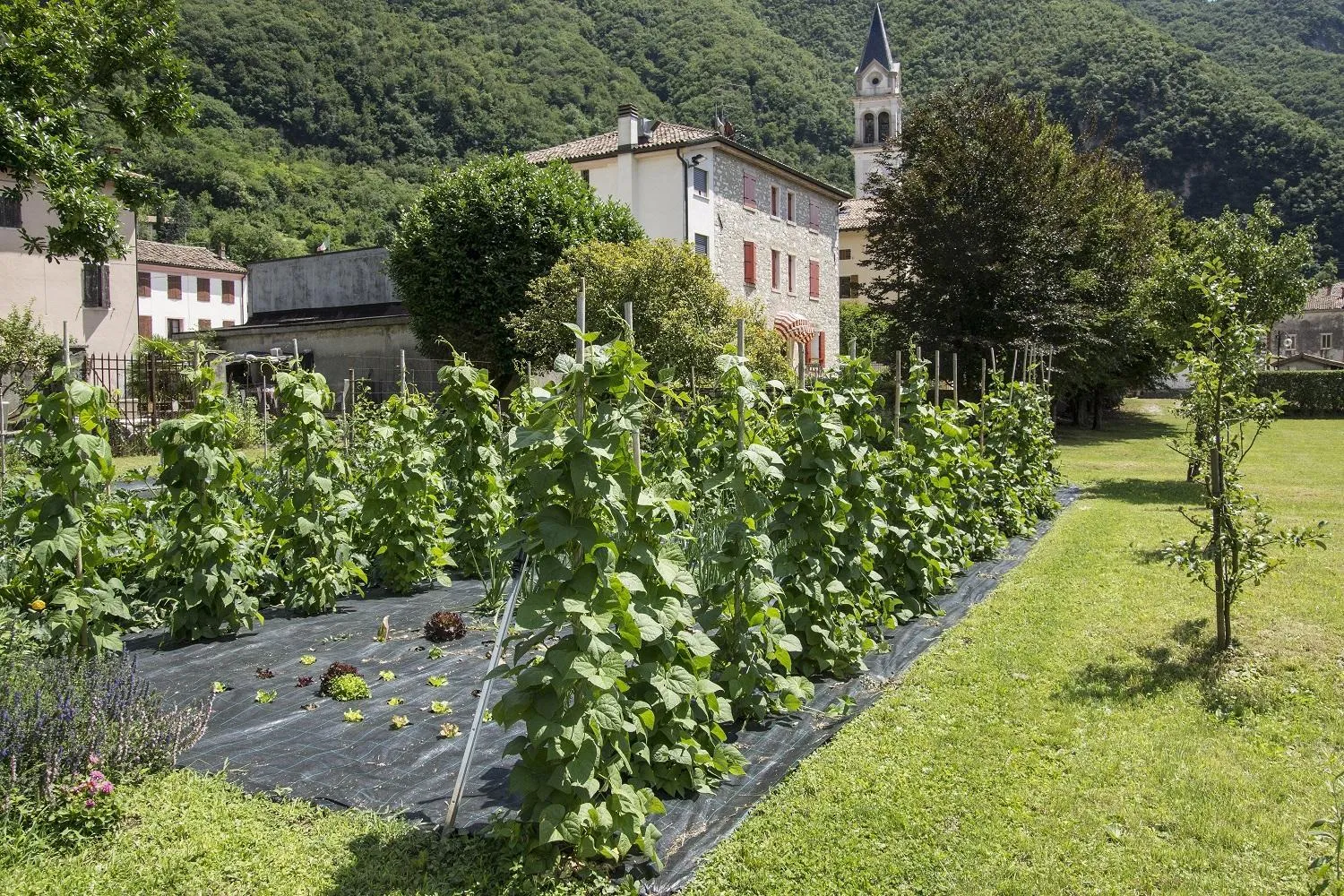 Food and drinks in Locanda Solagna