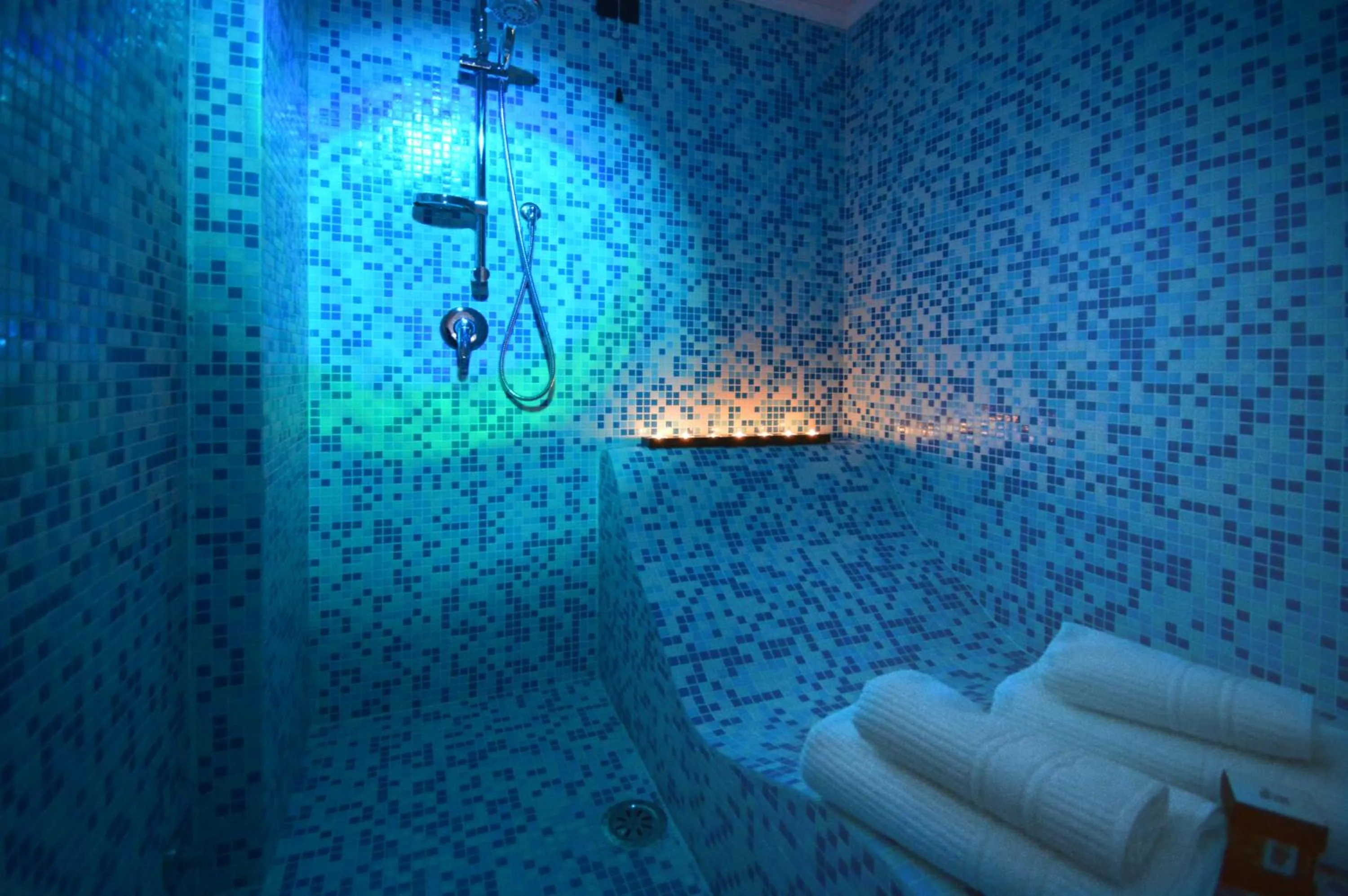 Shower in Barbarella Suite