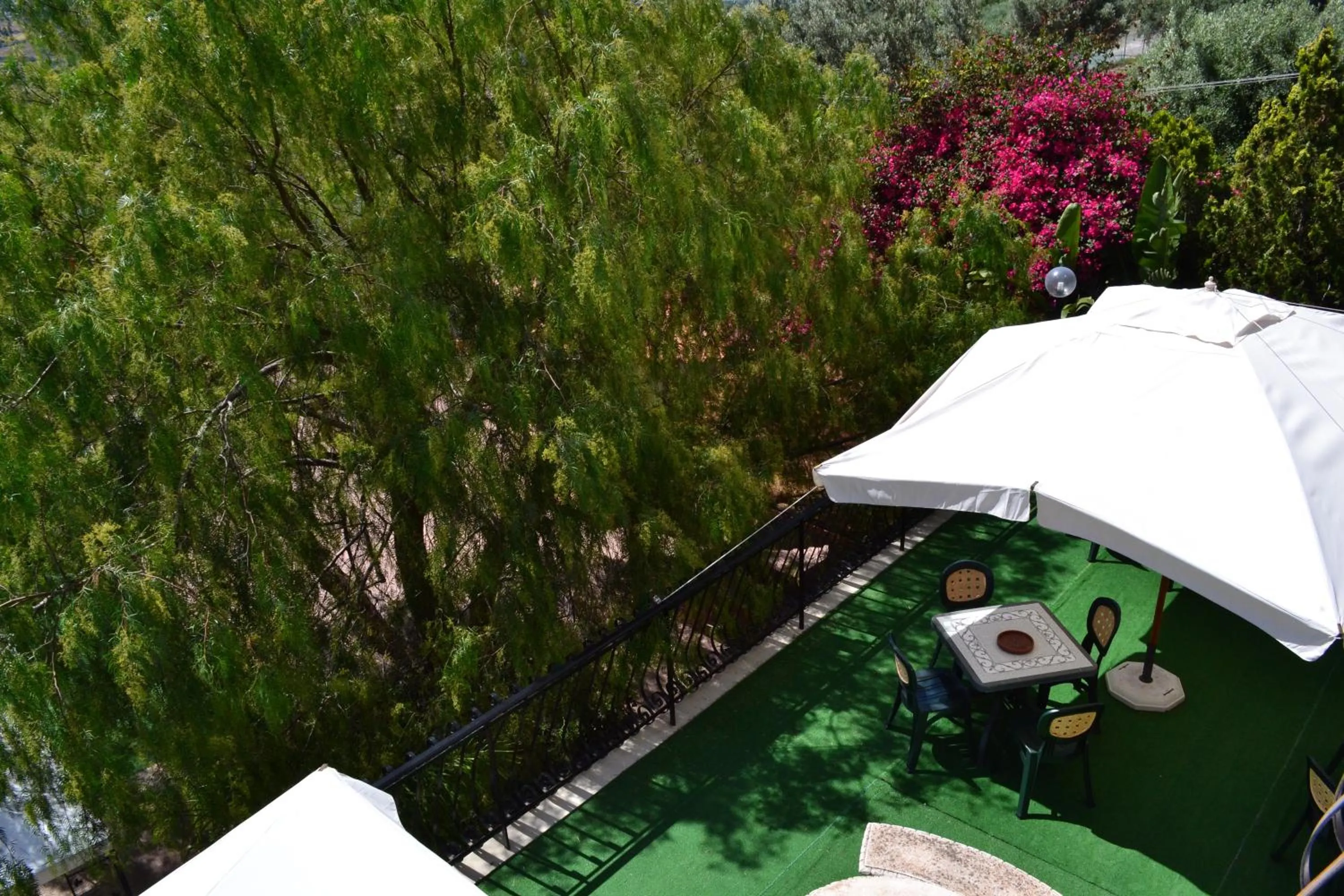 Patio in Hotel Miravalle