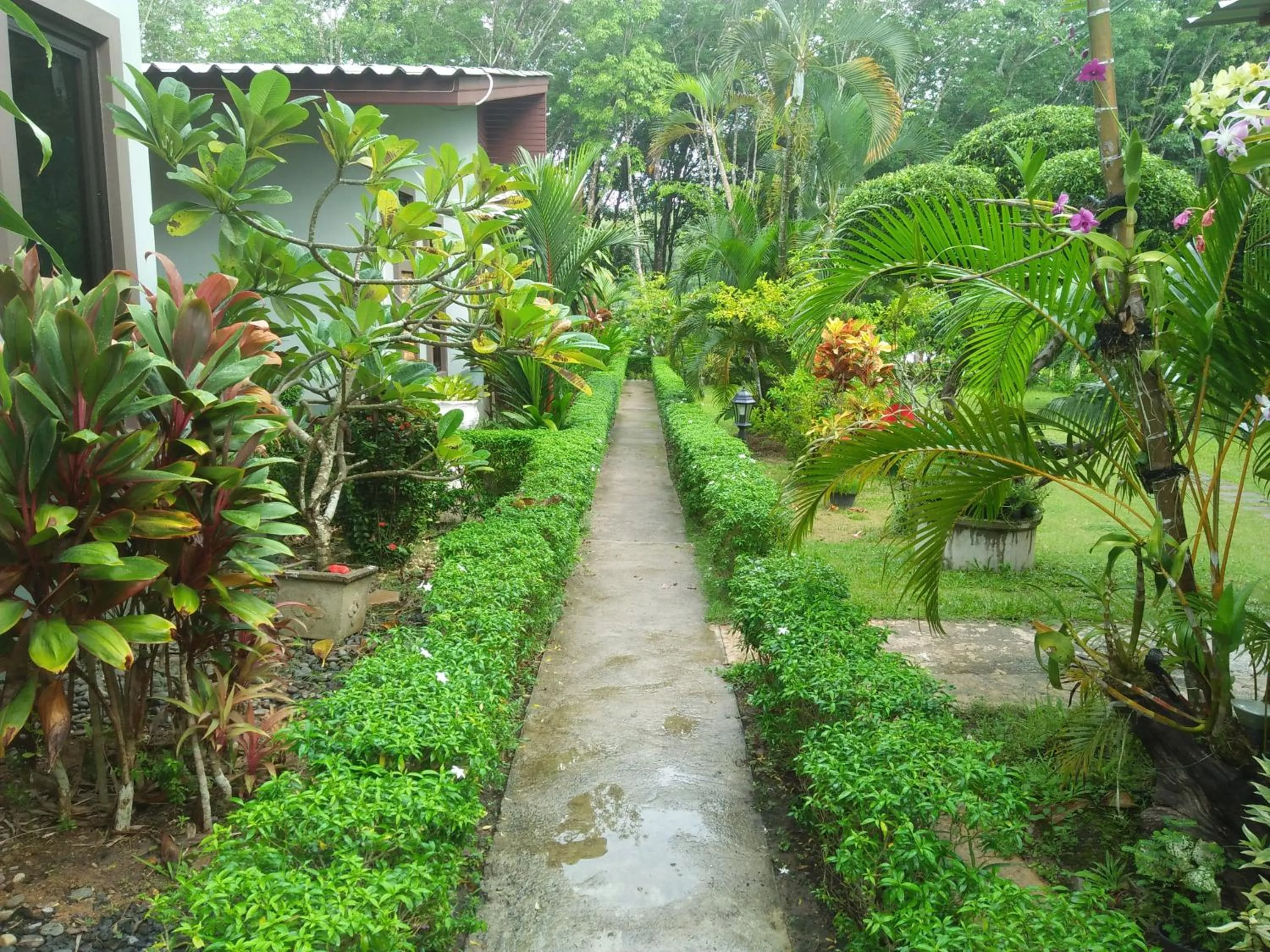 Garden view in Phuket Sirinapha Resort