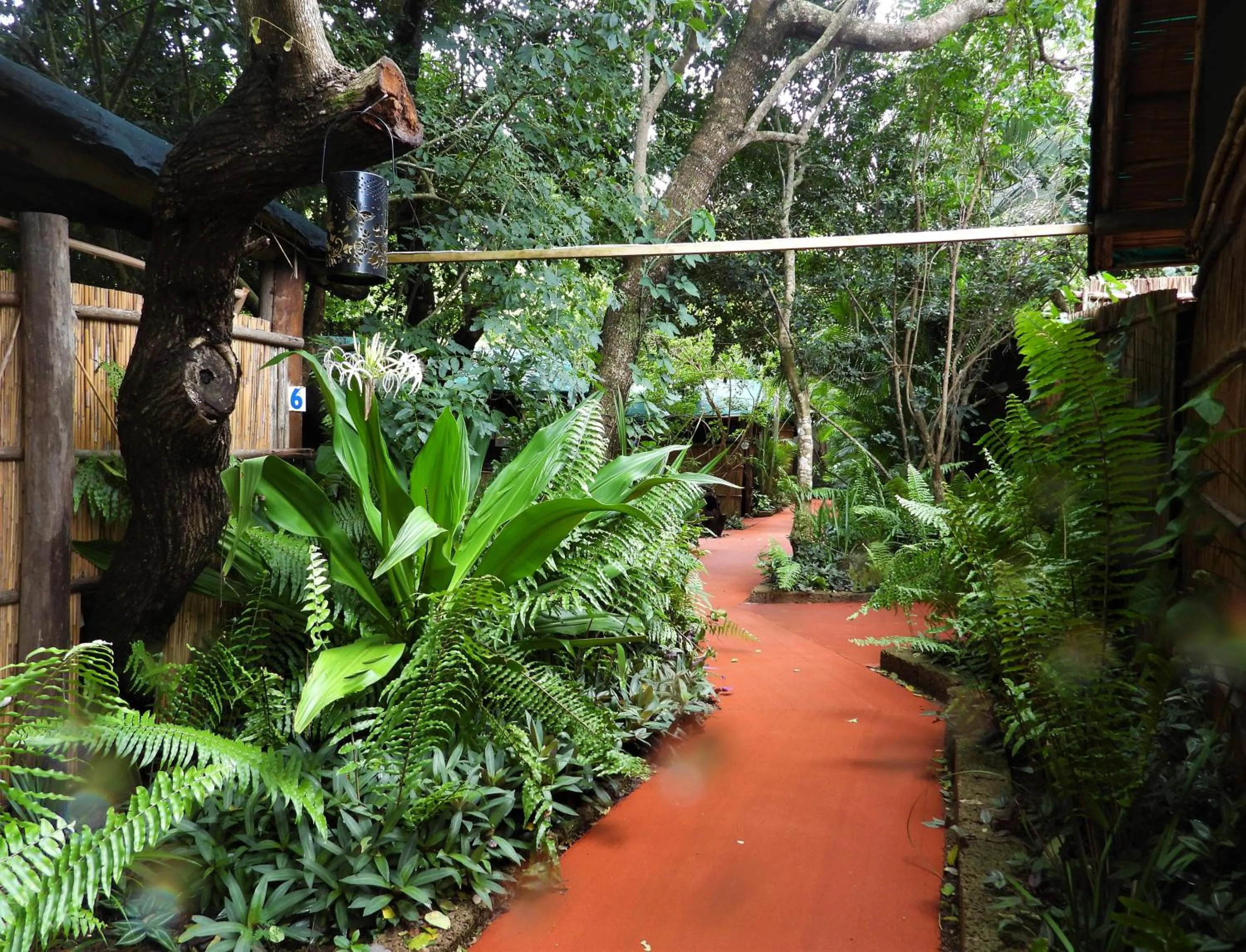 Natural landscape in Gala Gala Eco Resort