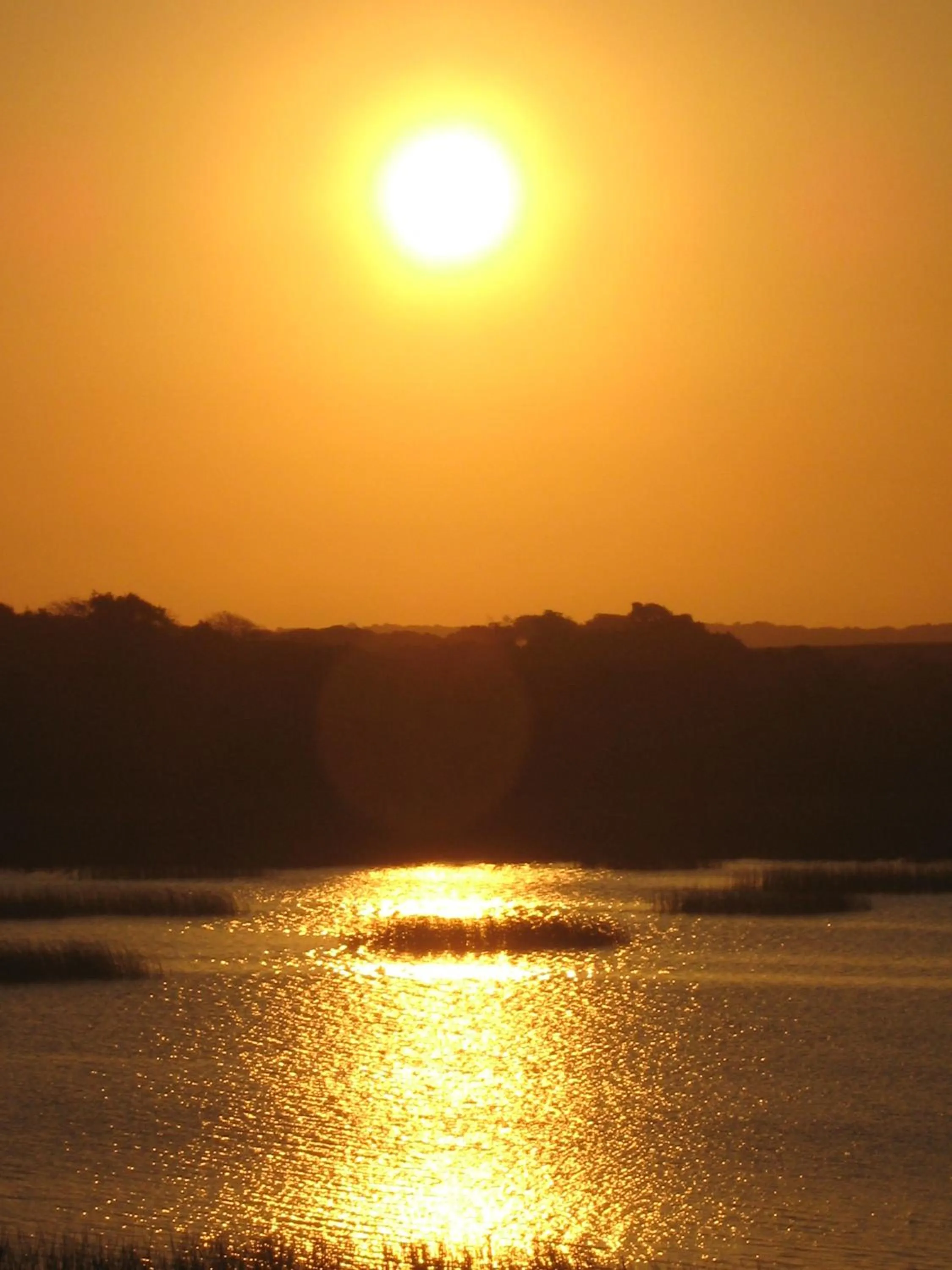 Beach in Gala Gala Eco Resort