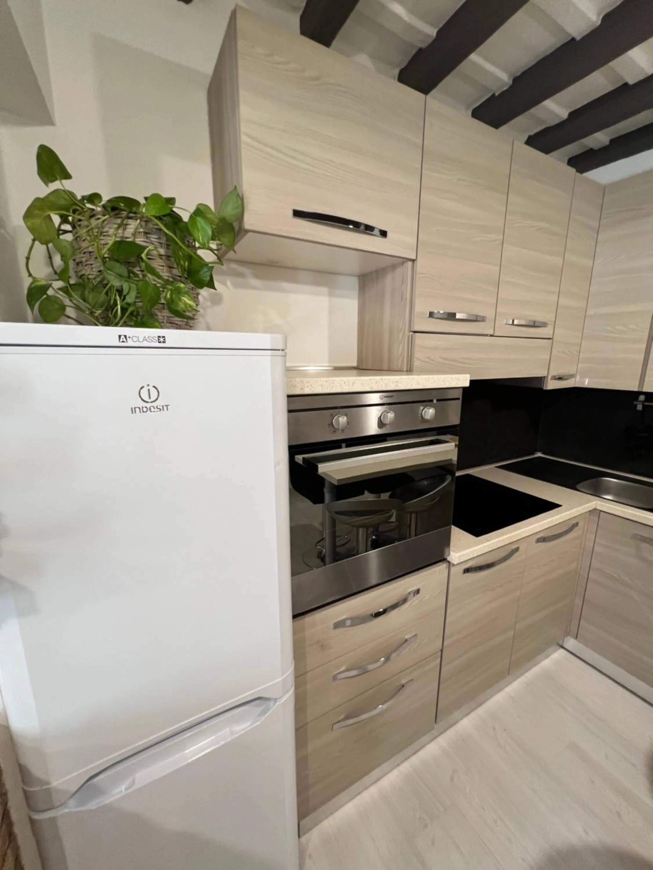 pet friendly in Charming Navona