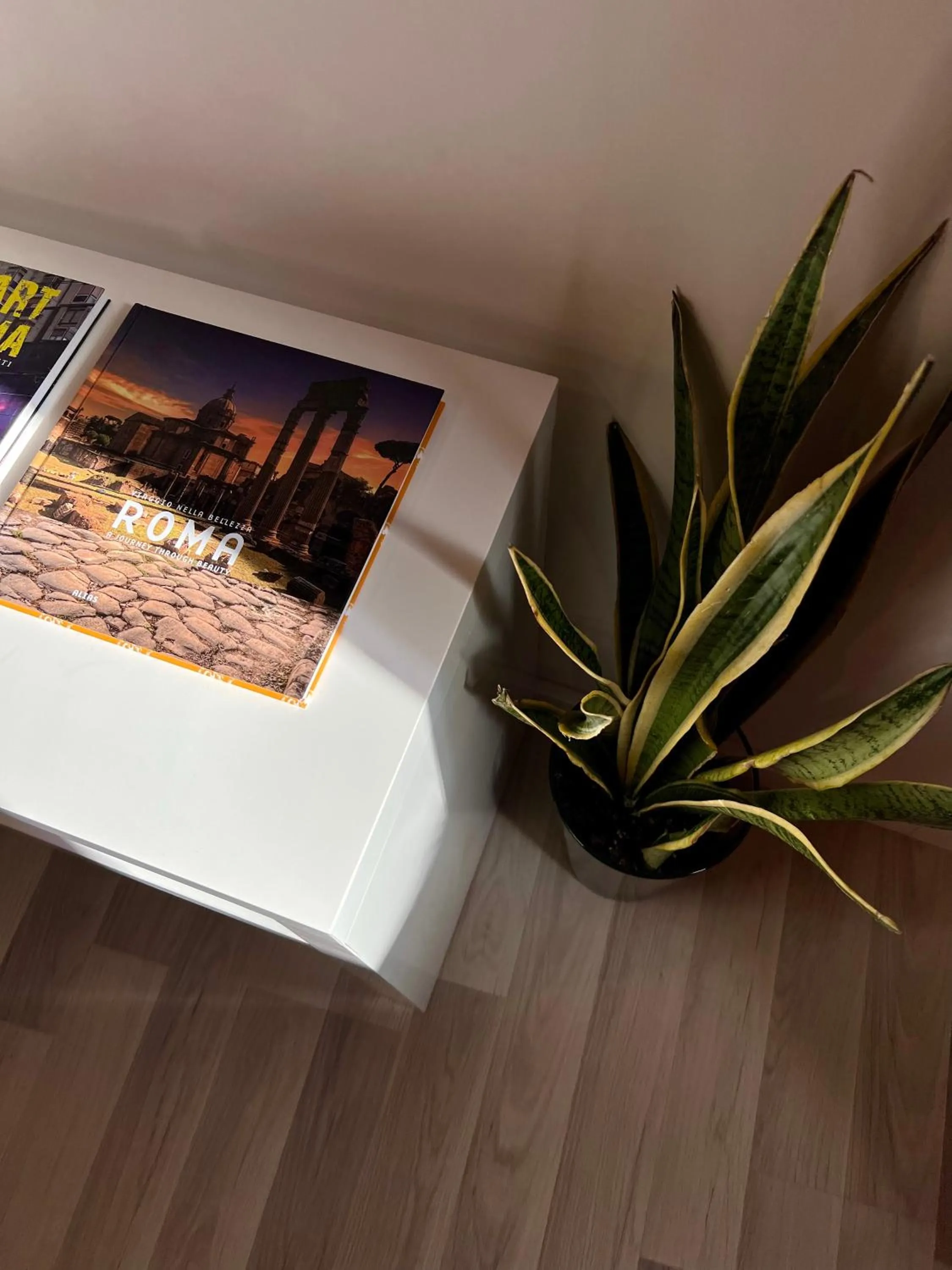 Decorative detail in Charming Navona