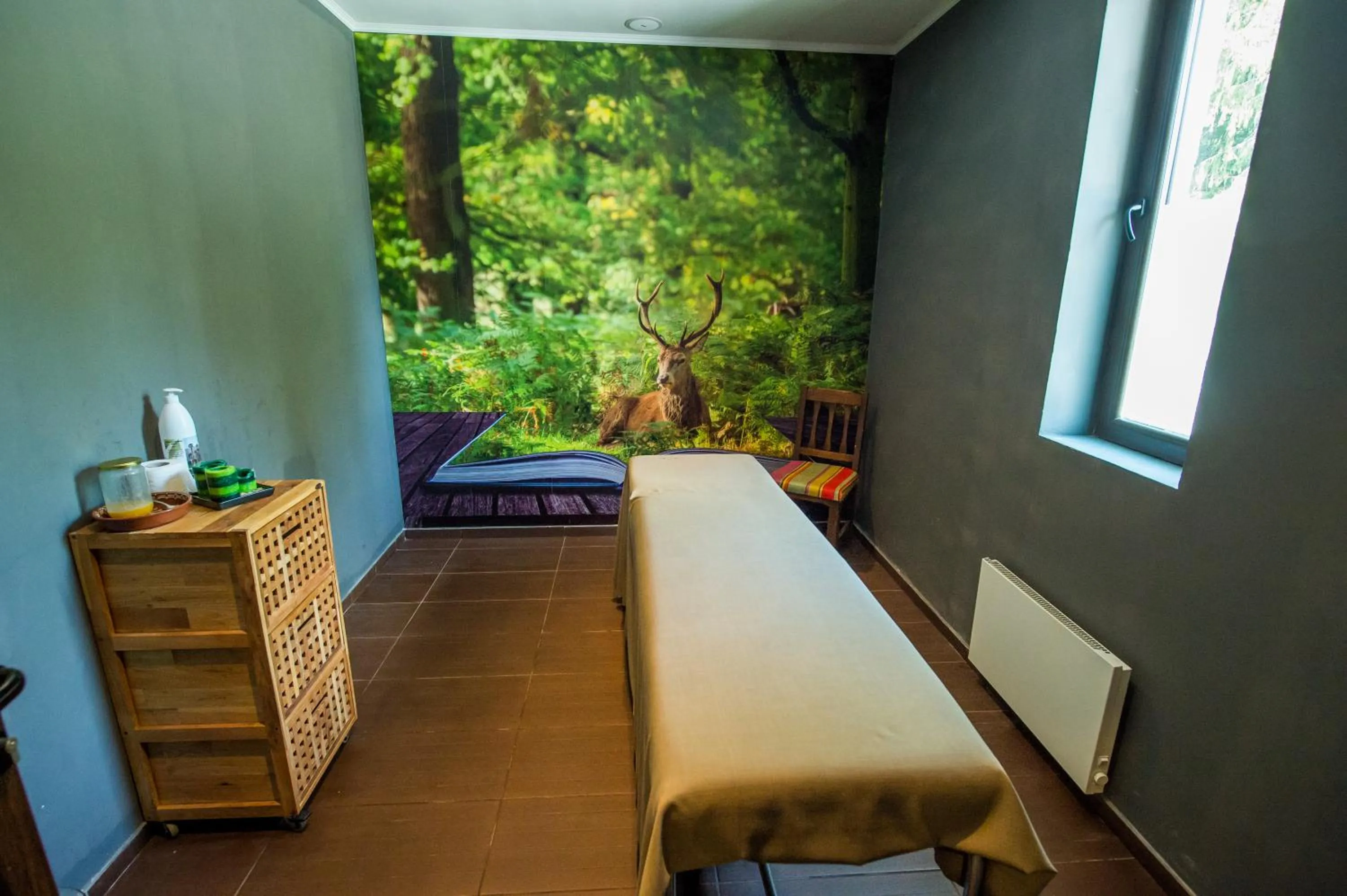 Spa and wellness centre/facilities, Bed in Snezhanka Hotel Pamporovo - Half Board & Swimming pool