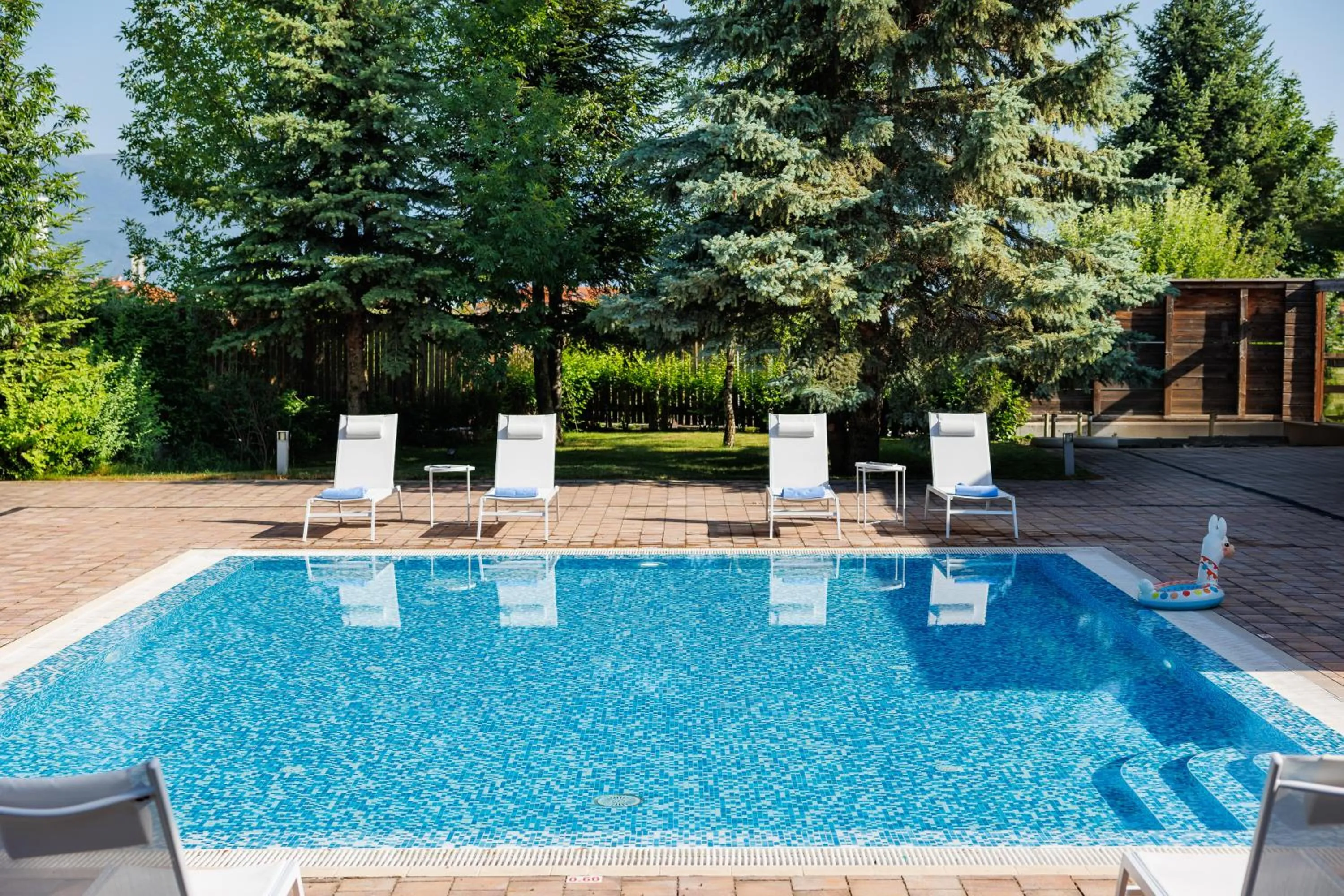 Swimming pool in Four Points by Sheraton Bansko