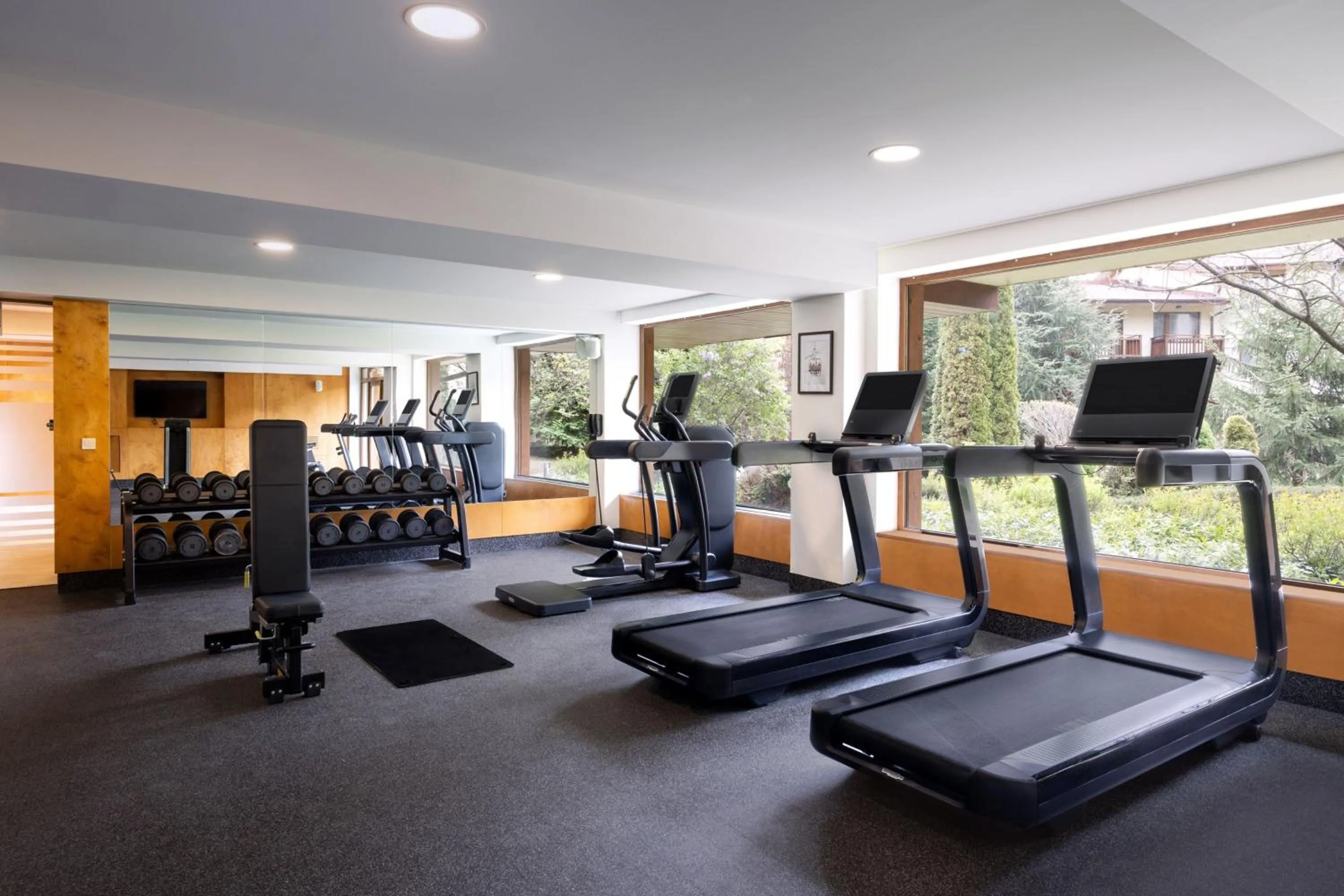 Fitness centre/facilities in Four Points by Sheraton Bansko