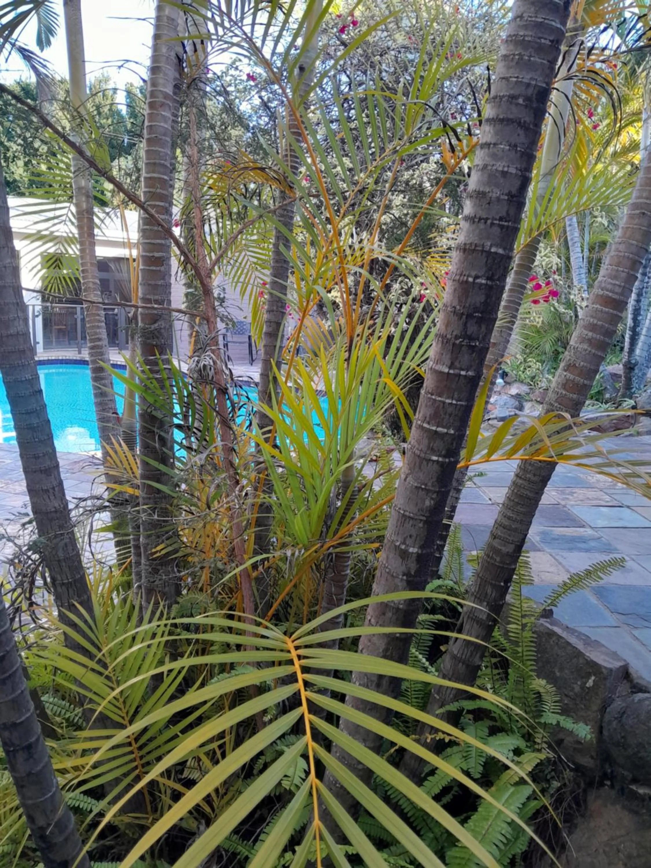 View (from property/room) in See More Guest House