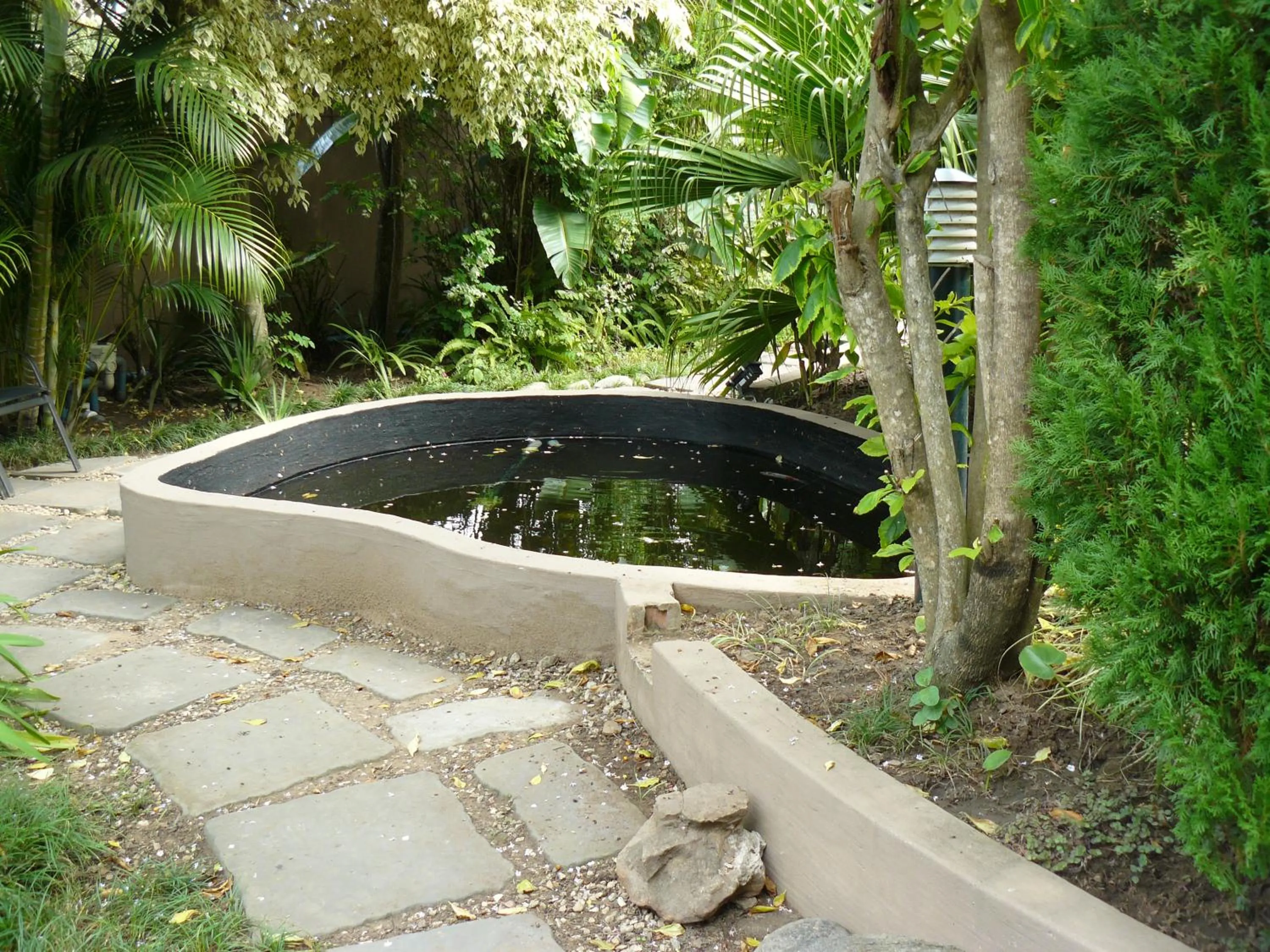 Garden in See More Guest House