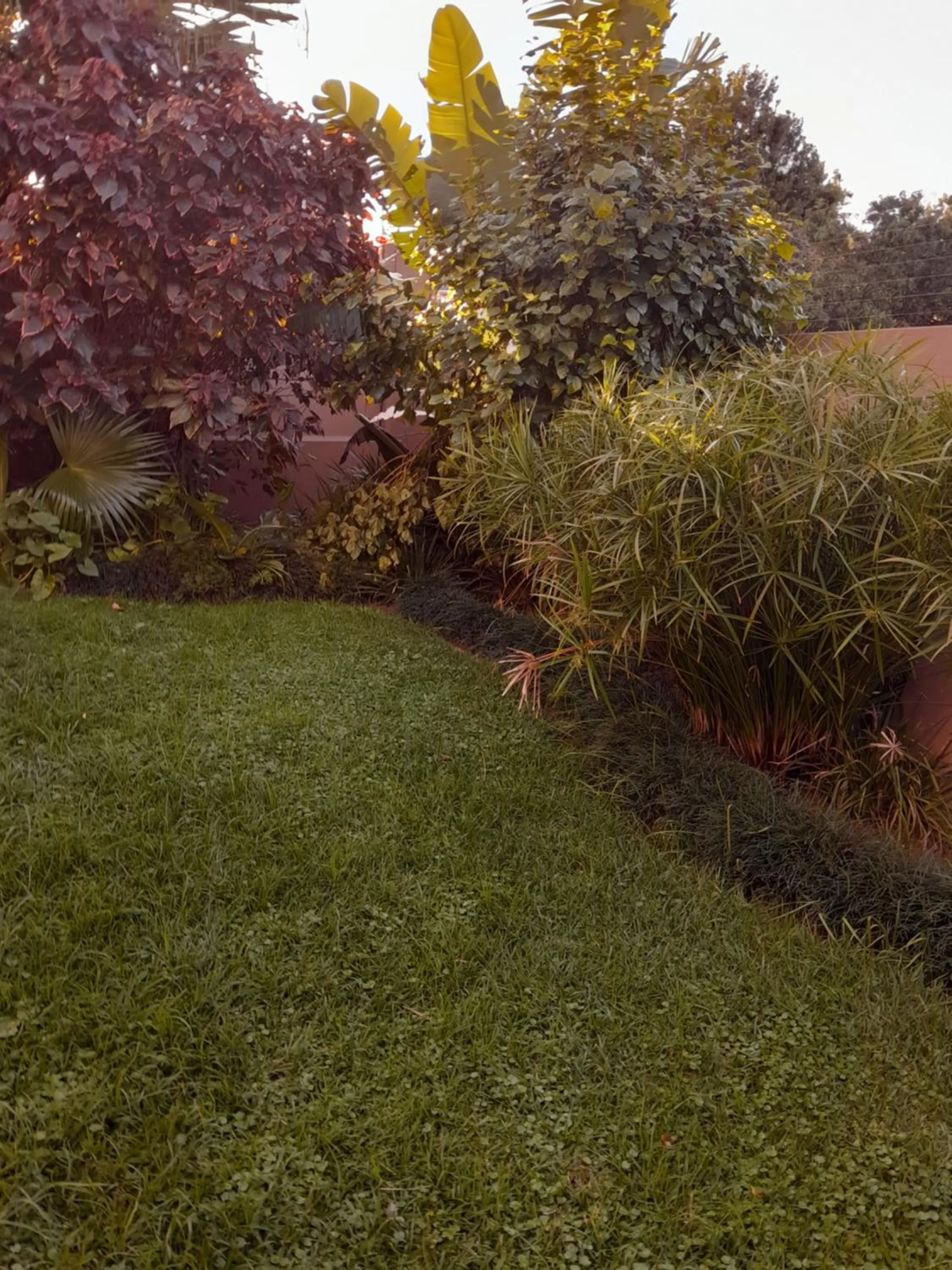 Garden in See More Guest House