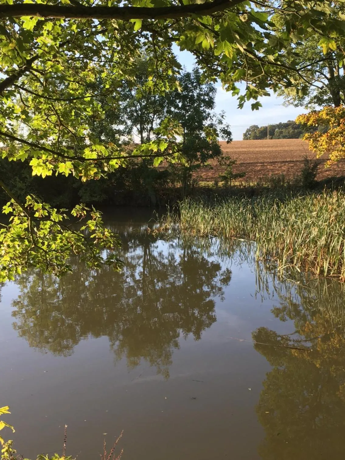 Lake view in Sturmer Hall Hotel and Conference Centre