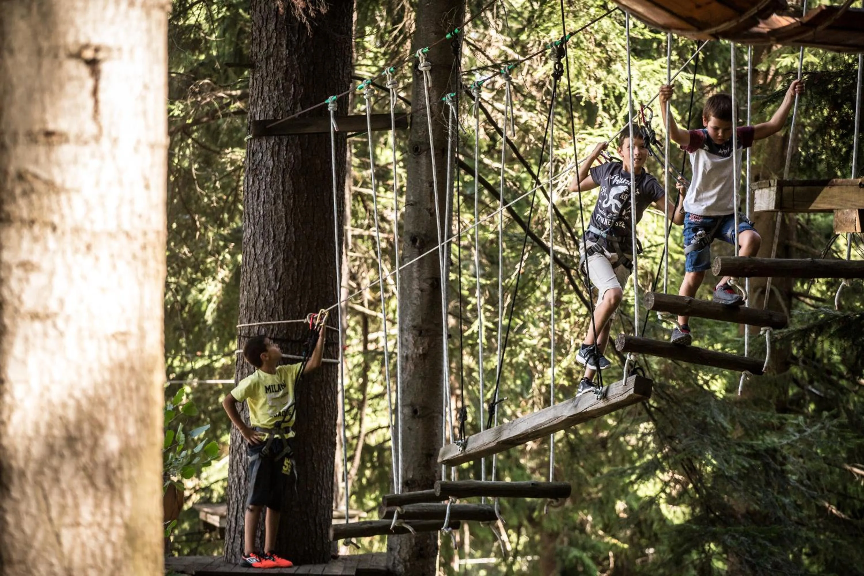 Spring in Rila Hotel Borovets
