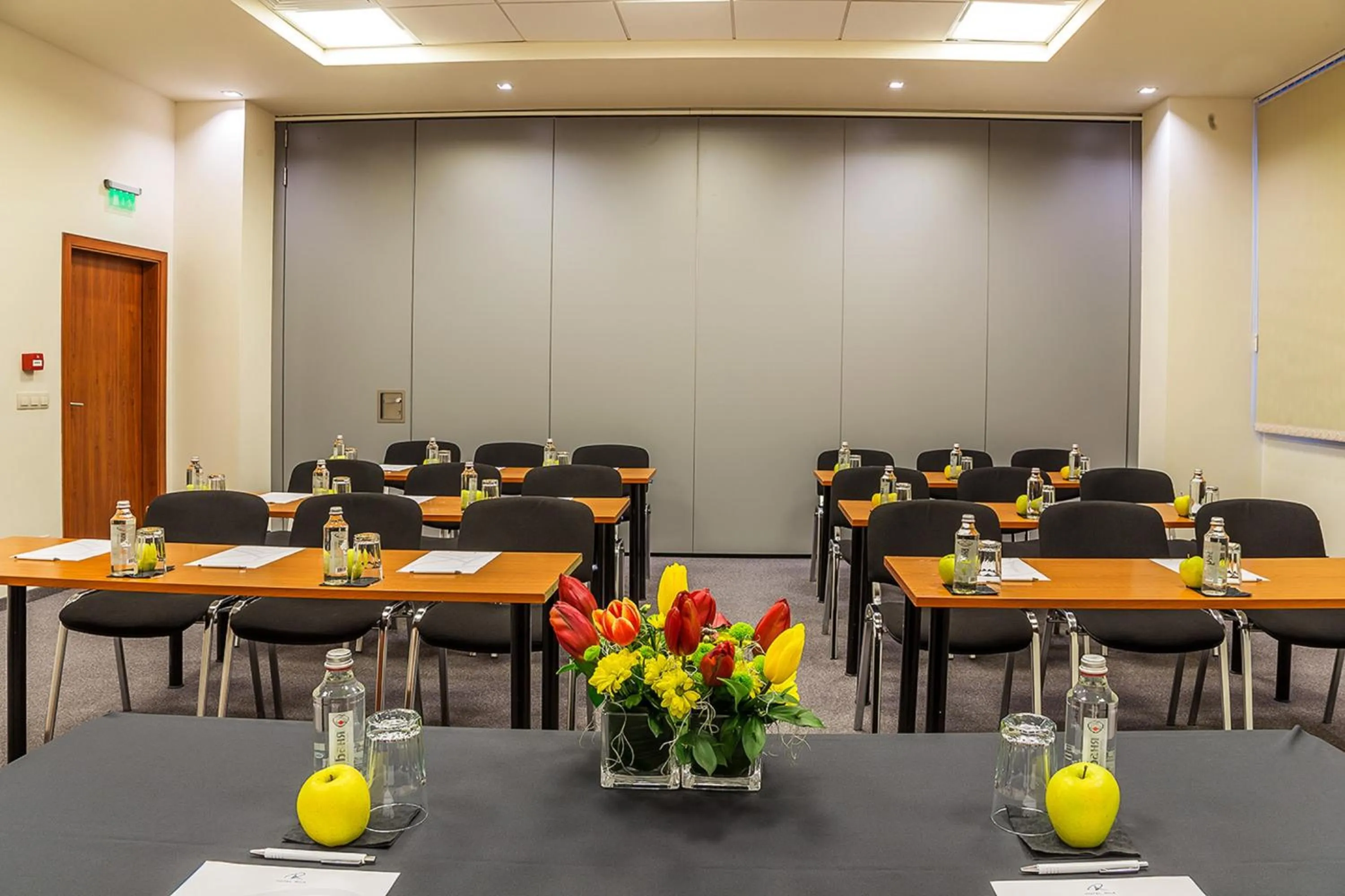 Business facilities in Rila Hotel Borovets