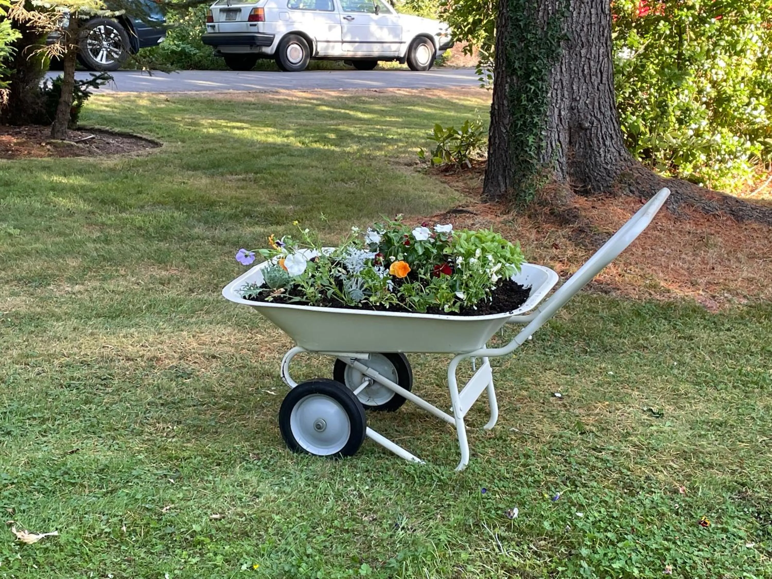 Garden in Coles Bay Vacation Retreat