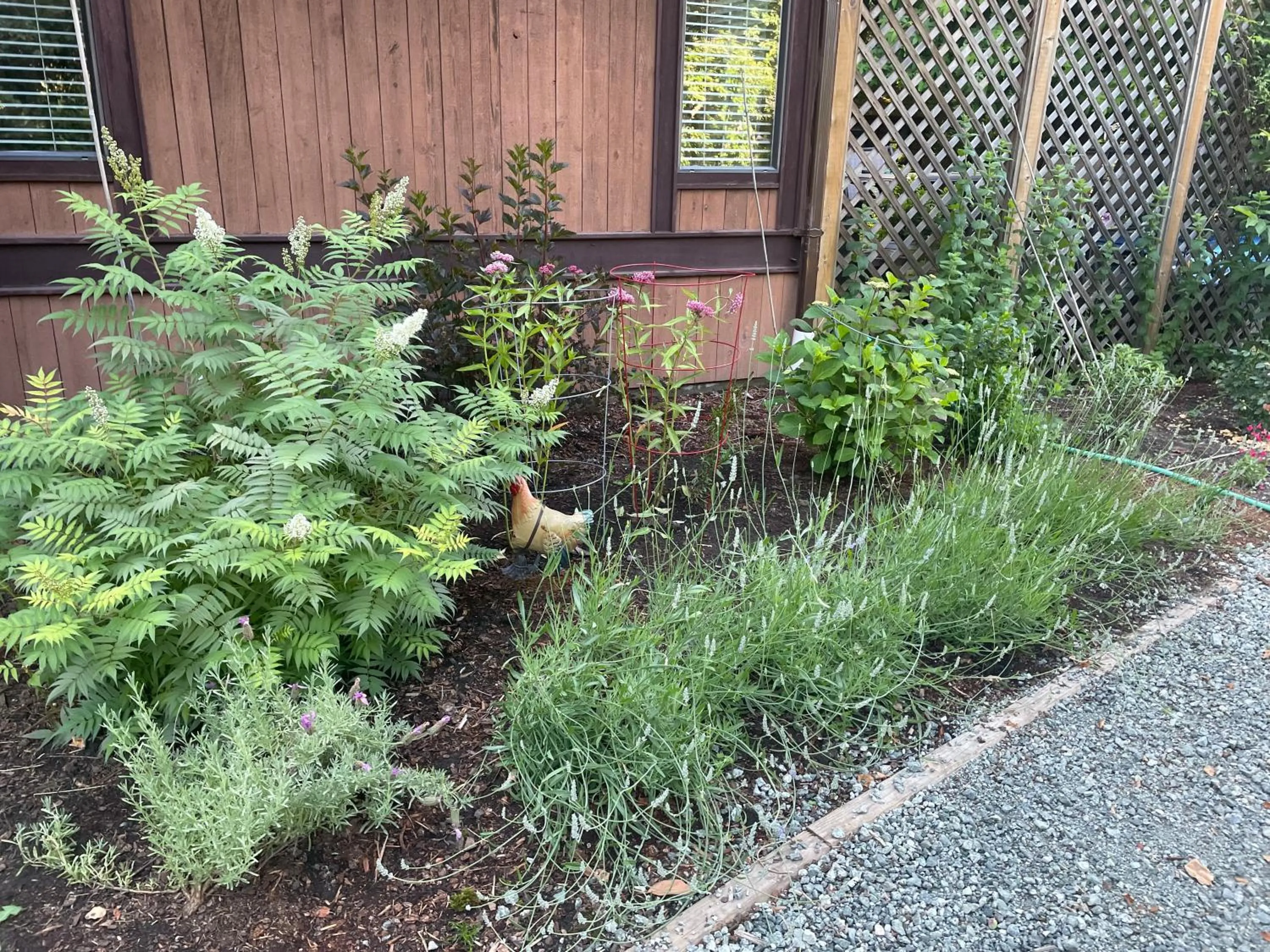 Garden in Coles Bay Vacation Retreat