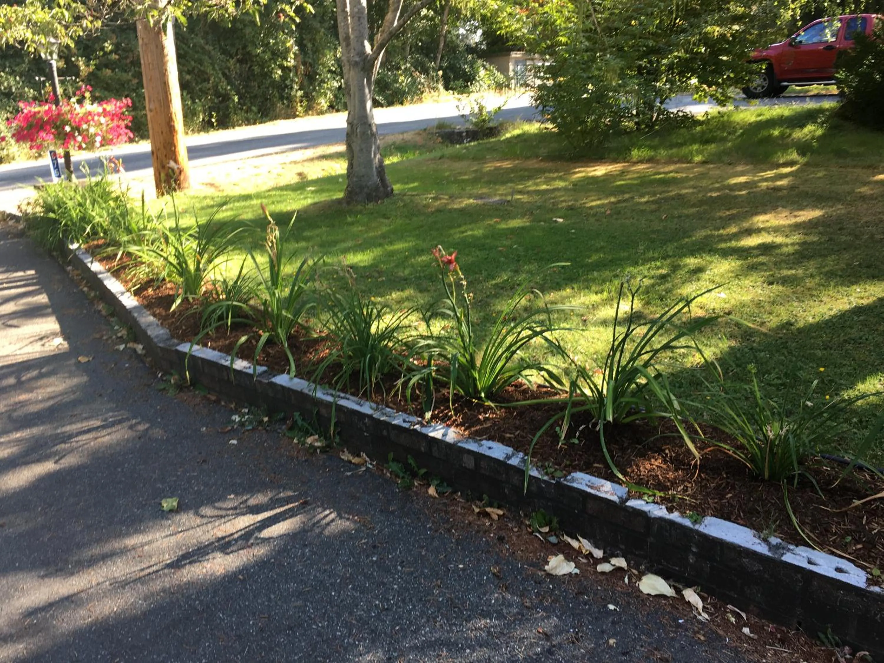 Garden in Coles Bay Vacation Retreat