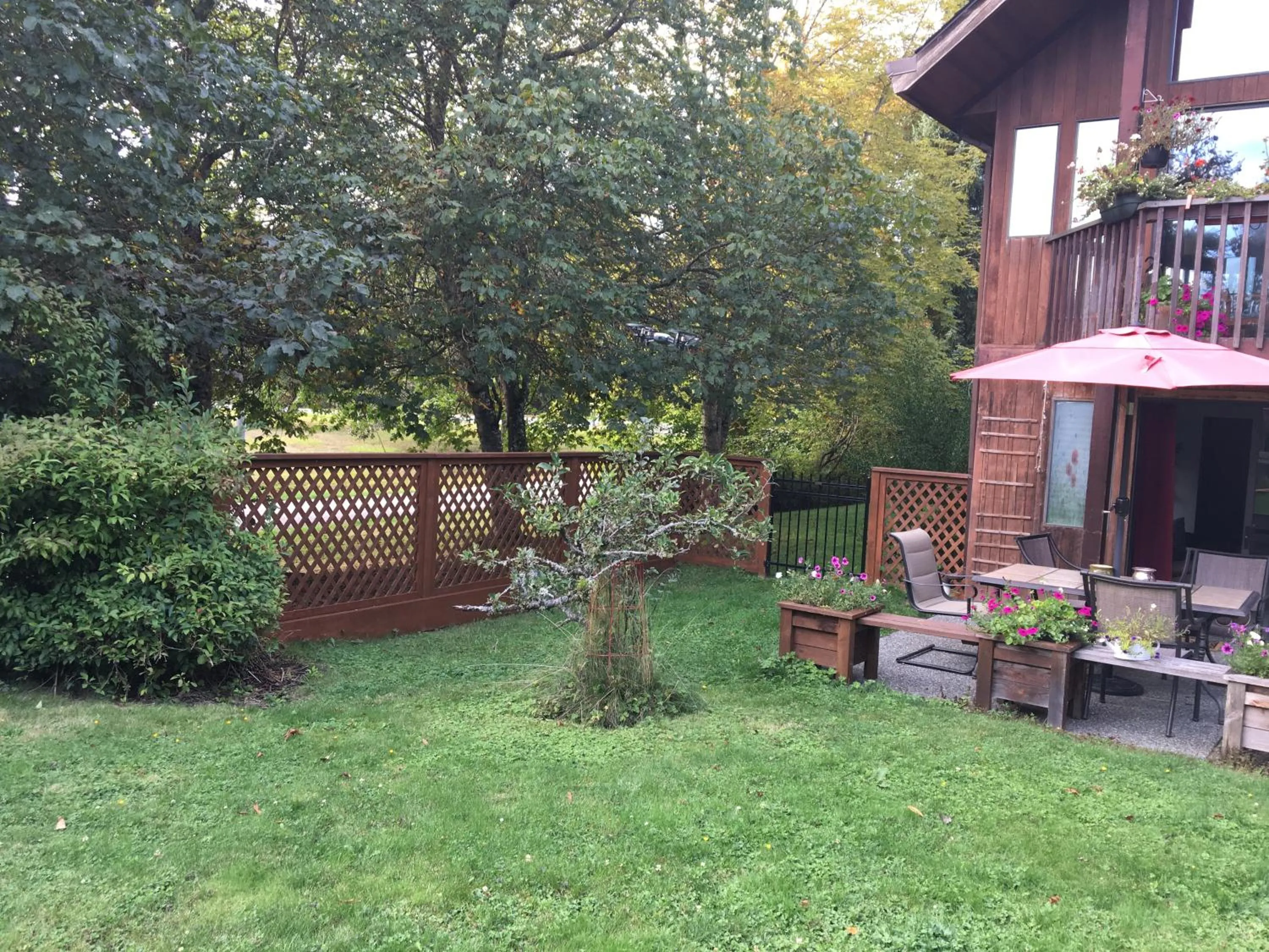 Garden in Coles Bay Vacation Retreat