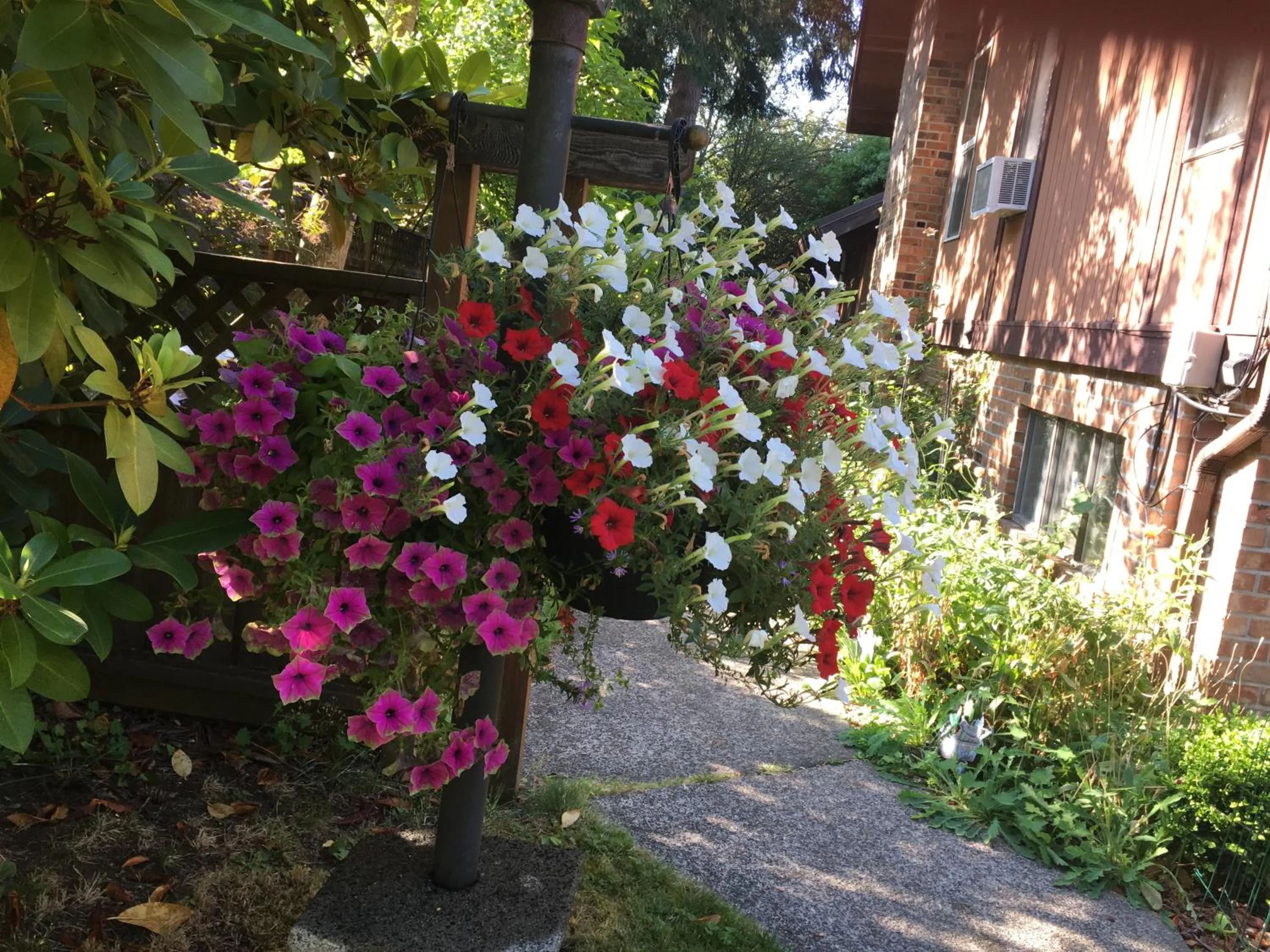 Garden in Coles Bay Vacation Retreat